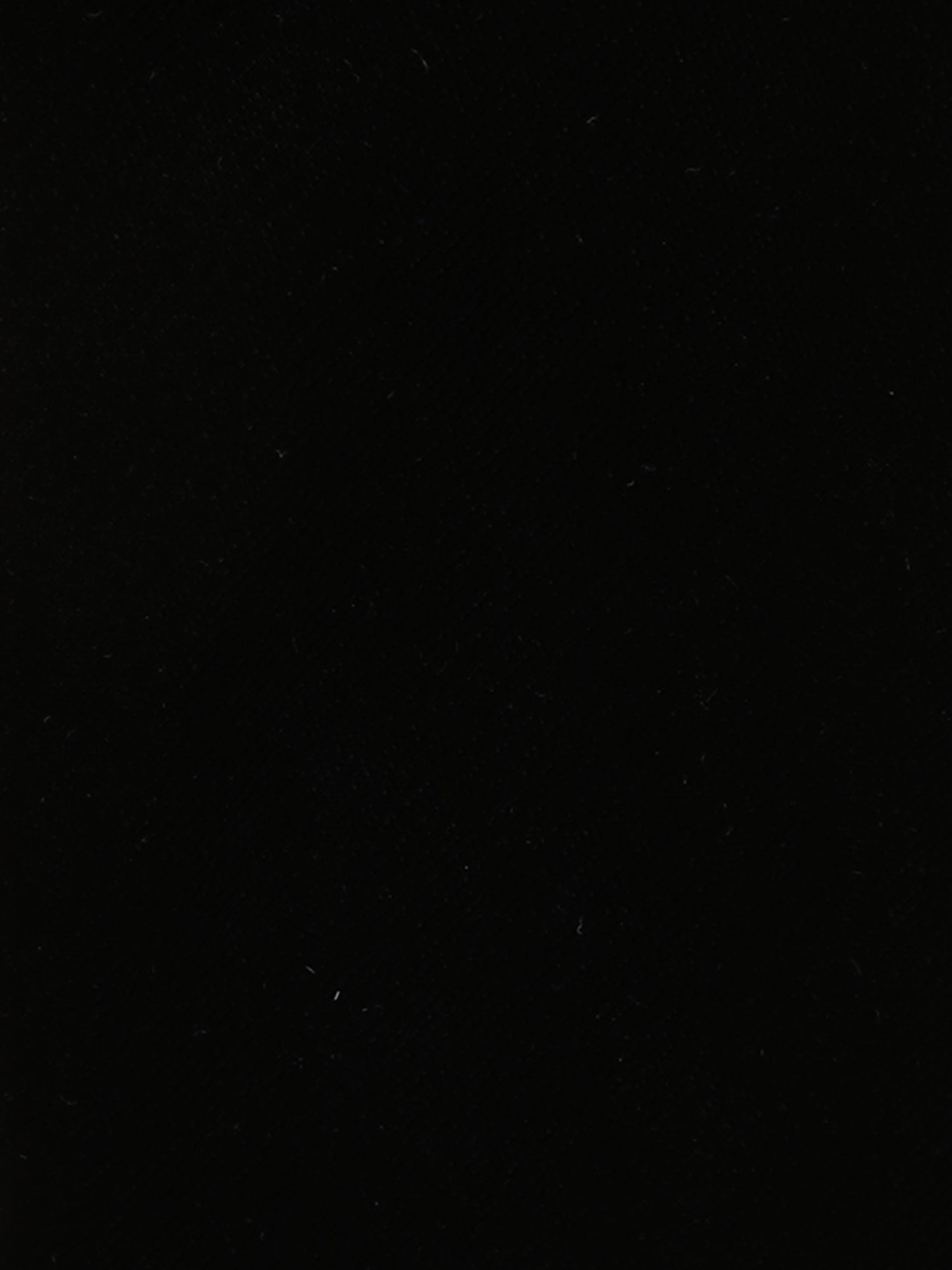 209792-2.jpg