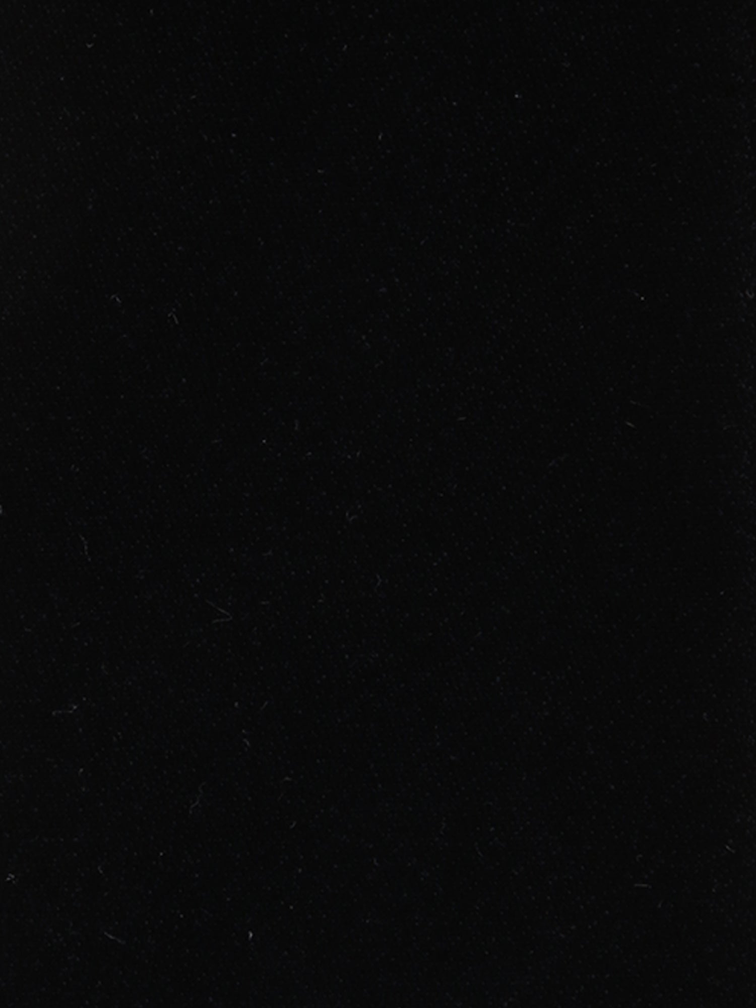 209793-2.jpg