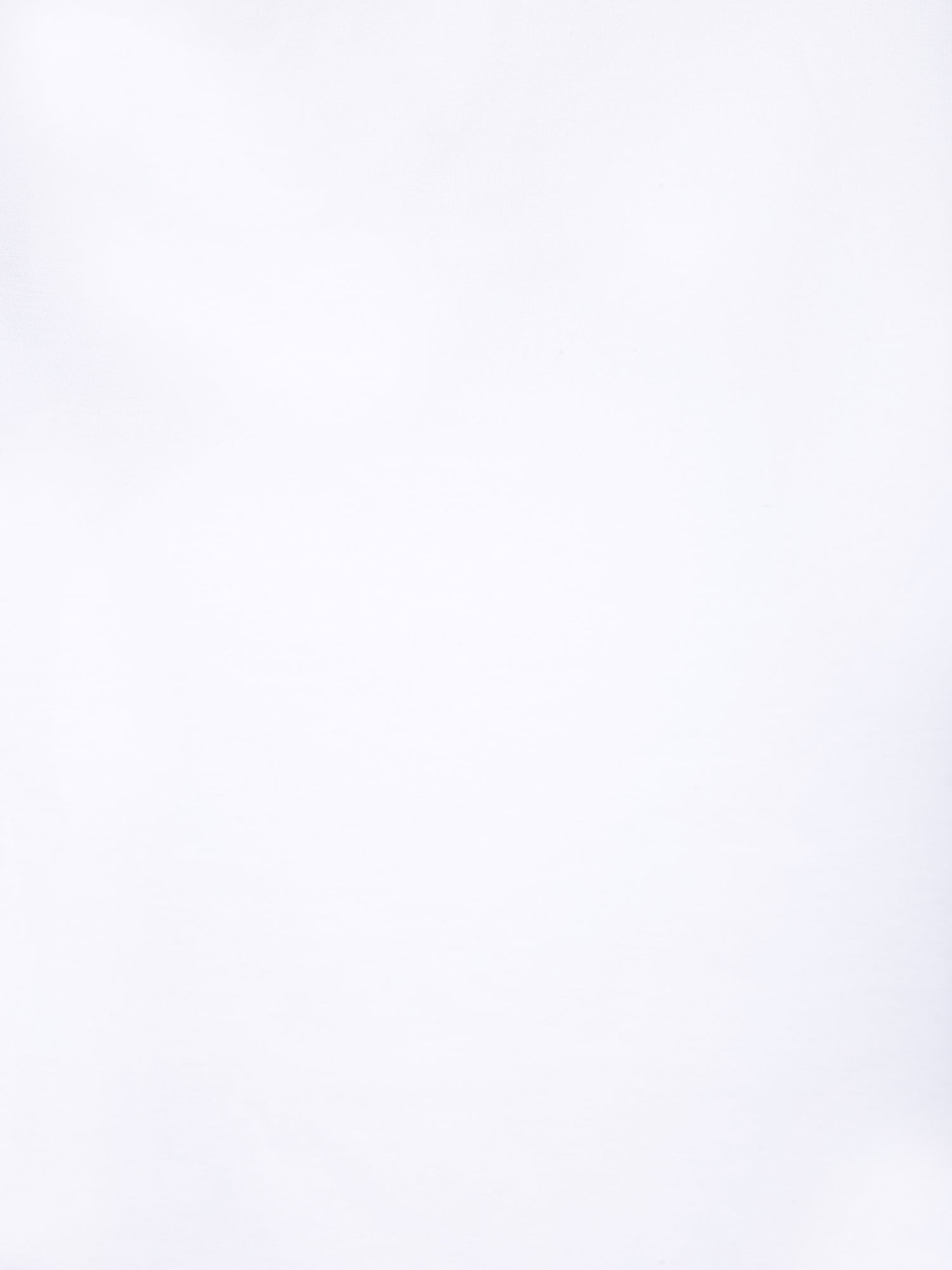 213047-3.jpg