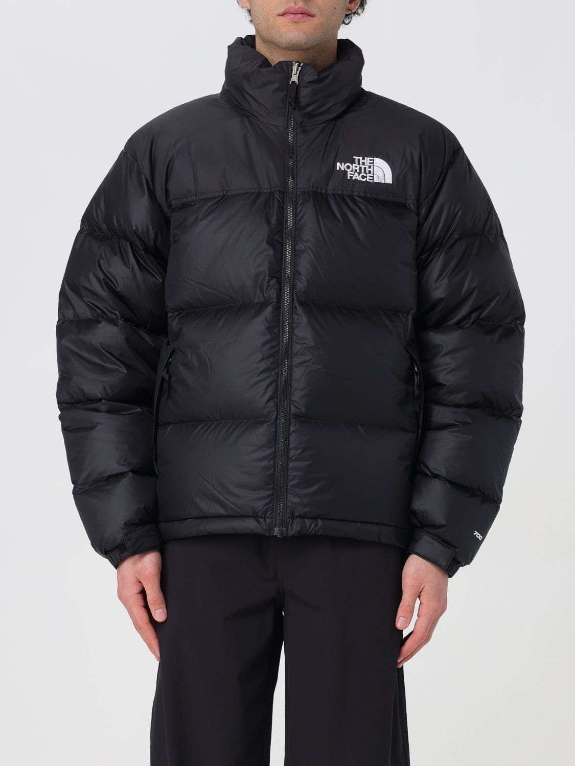 Mens 자켓 더 North 페이스