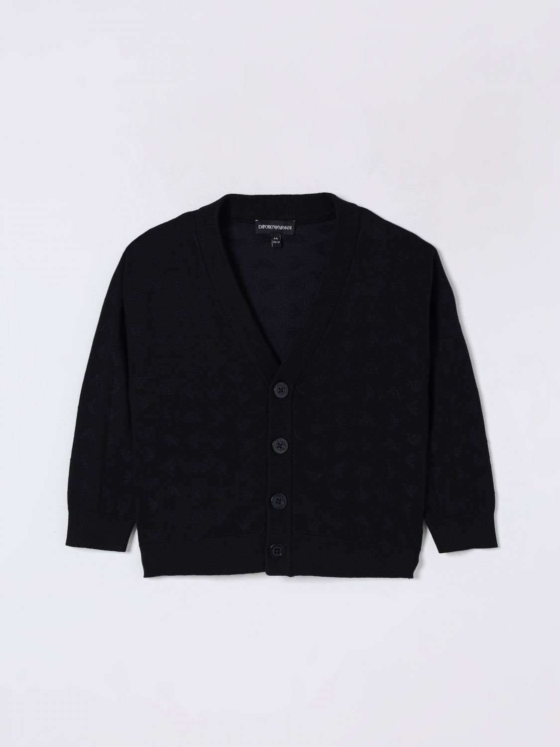 Little Boys 스웨터 Emporio Armani