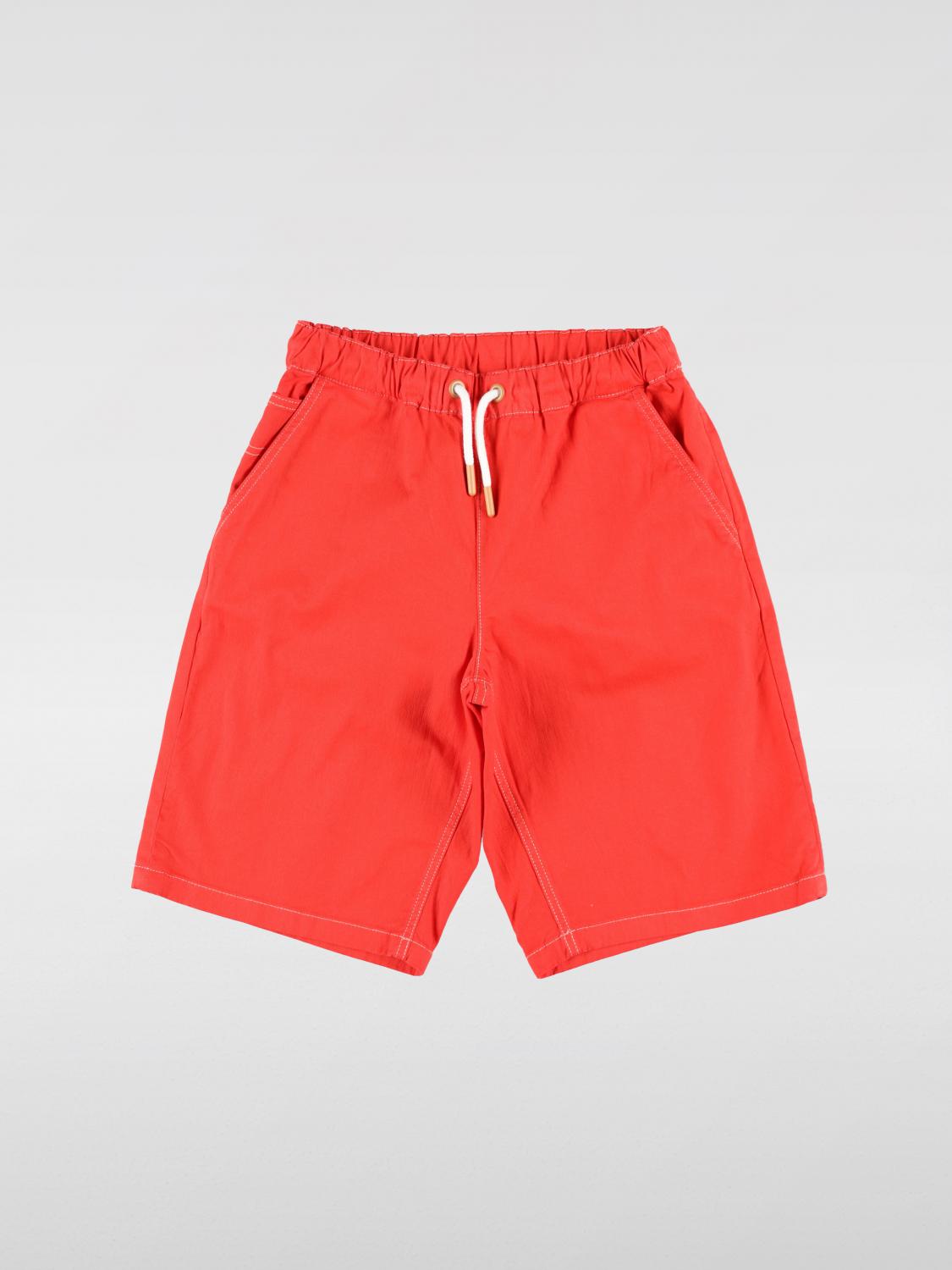 Little Boys 쇼츠 Bonpoint