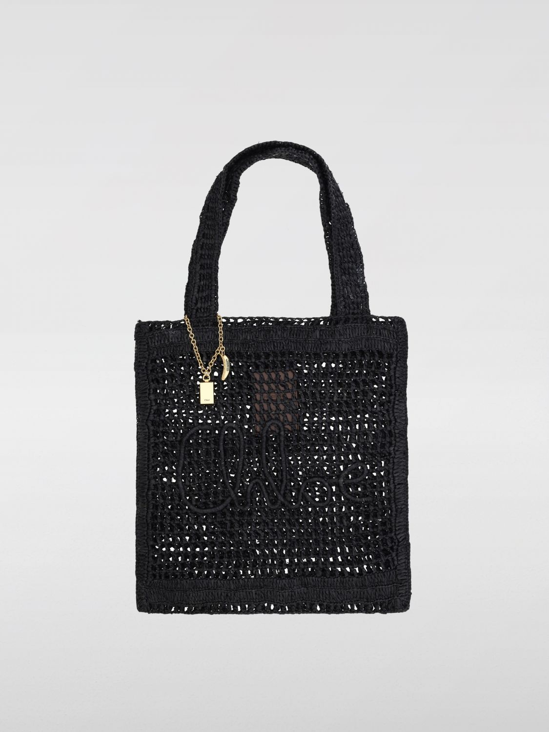 Womans 핸드백 Chloé