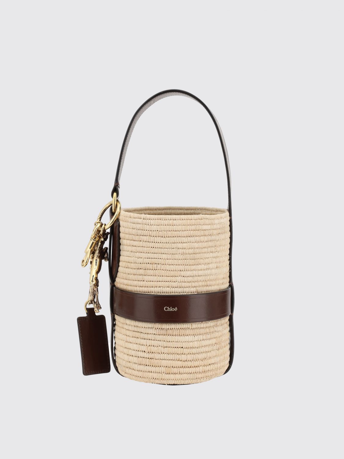 Womans 핸드백 Chloé
