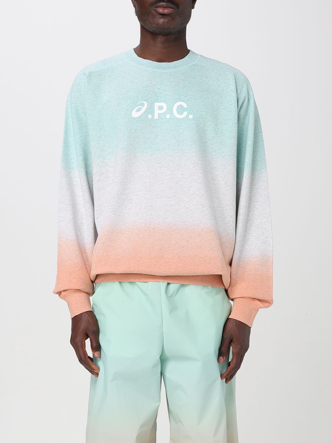 Mens 스웨트 셔츠 Apc