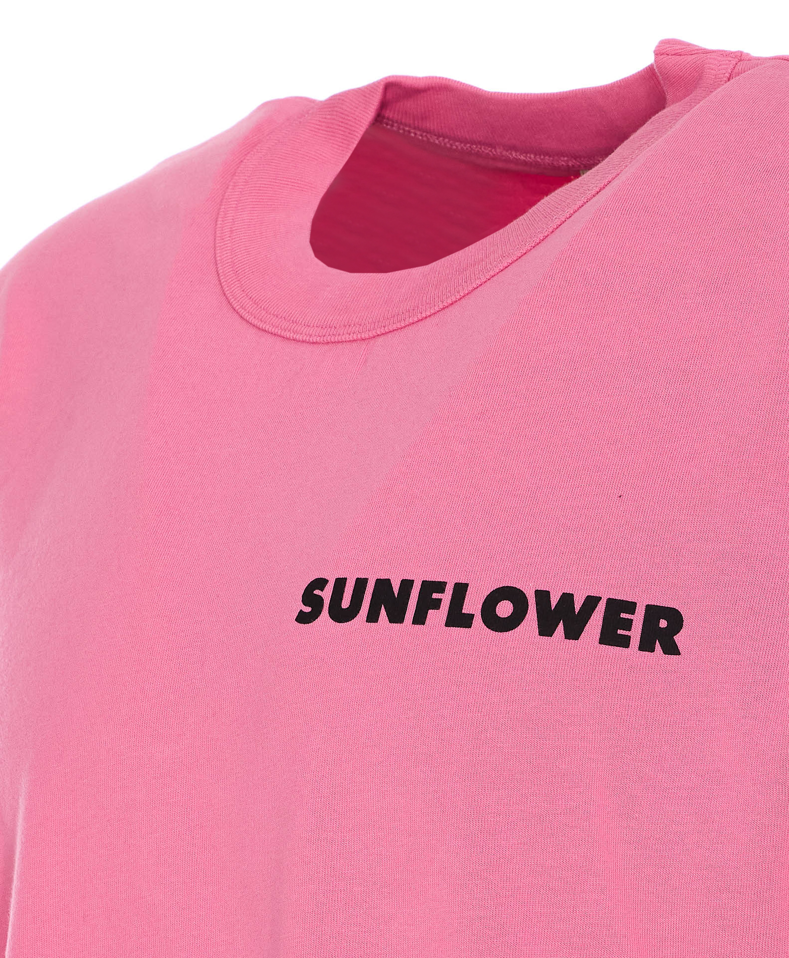2441651.P25-sunflower-2013PINK_2_P.JPEG