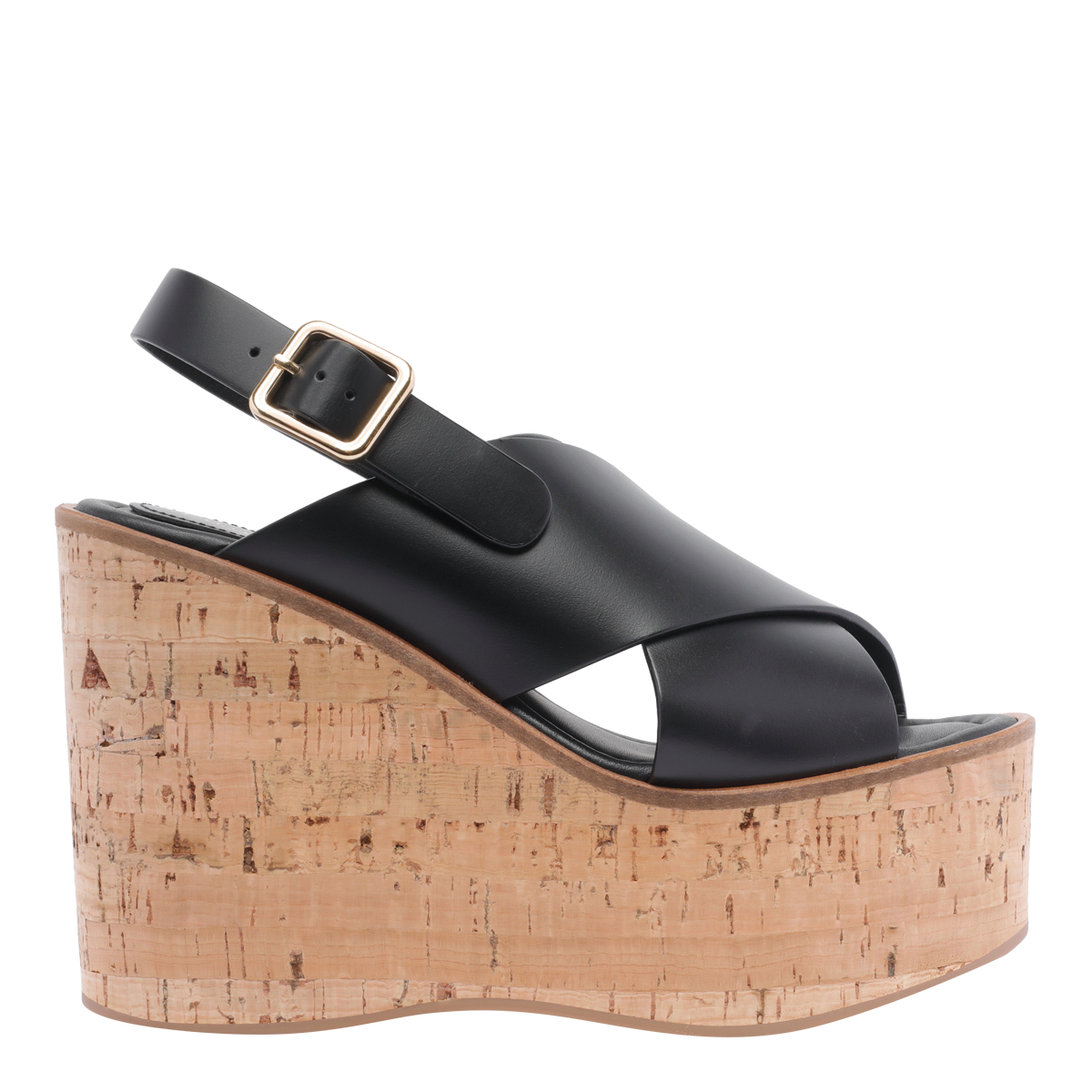 BEGONIA WEDGES