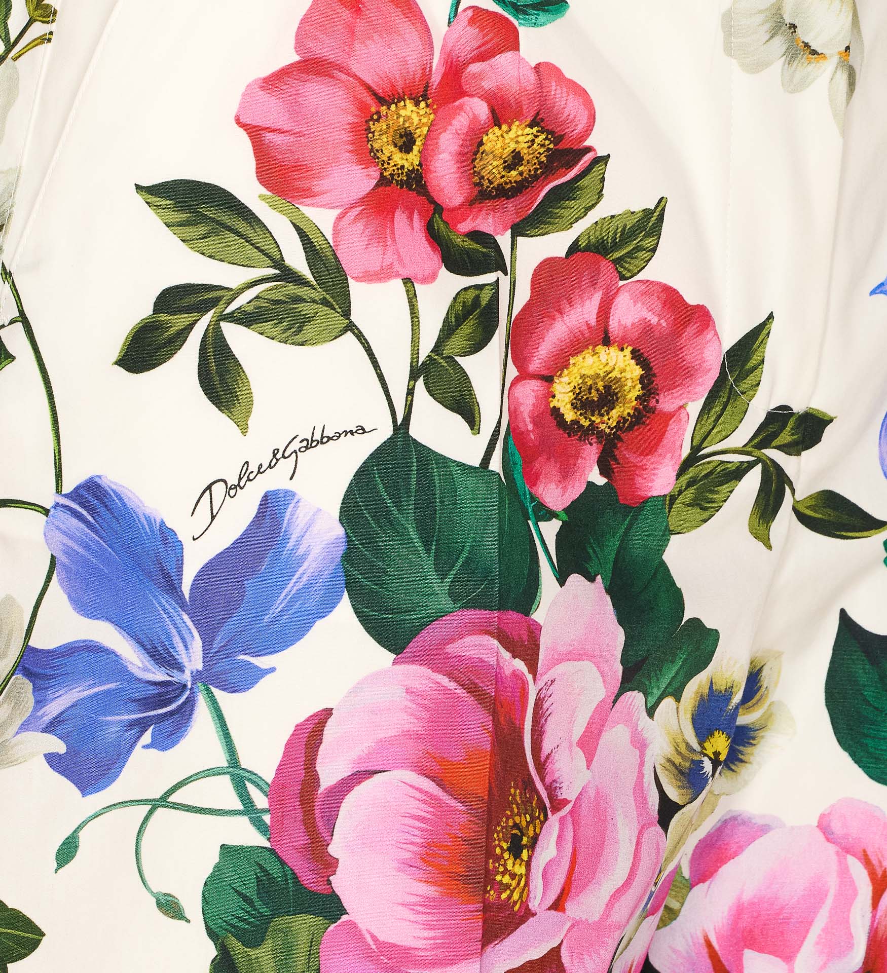 2437338.P25-dolce-gabbana-FTC9RTHS5S6HA5KT_3_P.JPEG