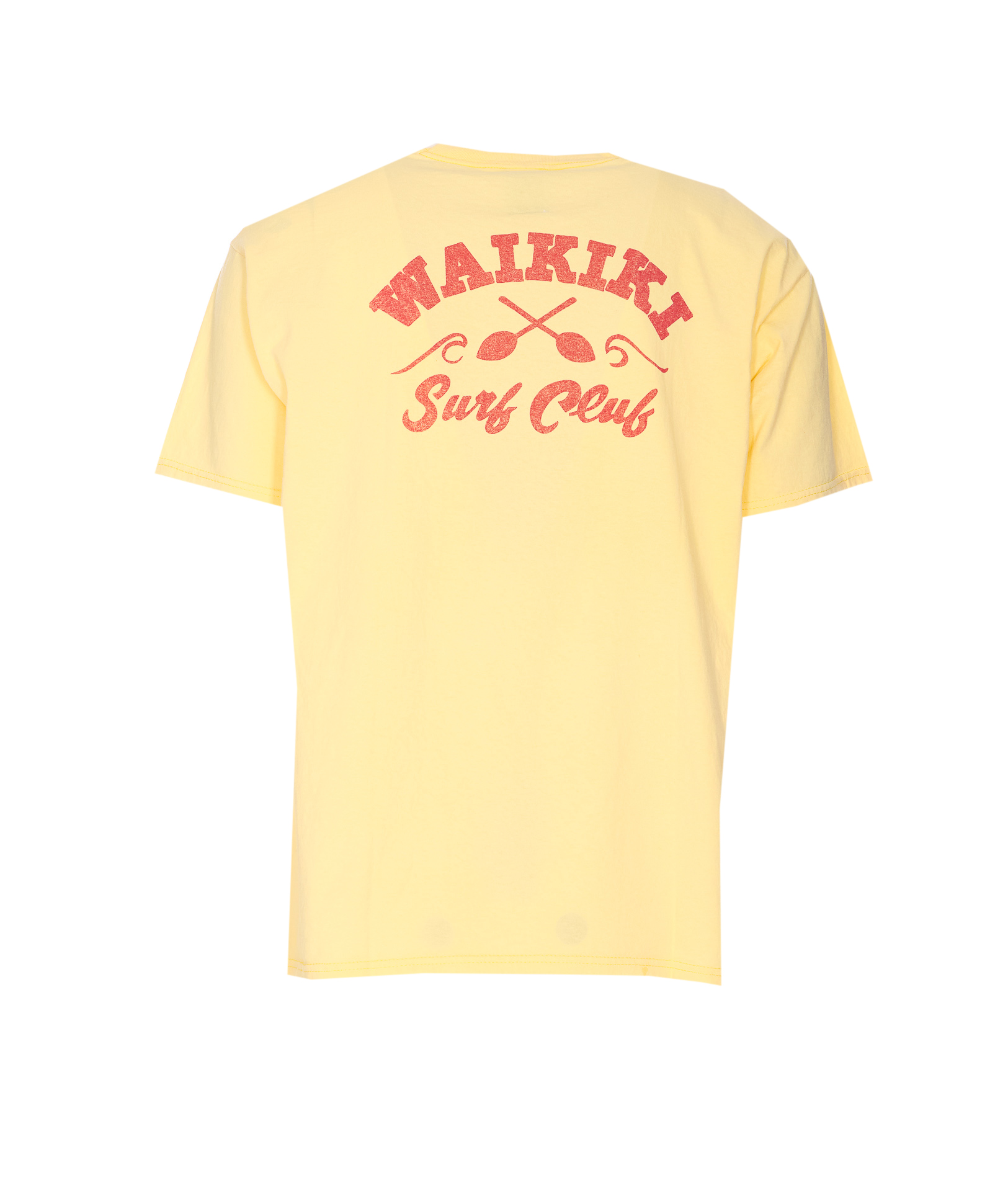 2447875.P25-wild-donkey-WAIKIKISUNFLOWER_1_P.JPEG