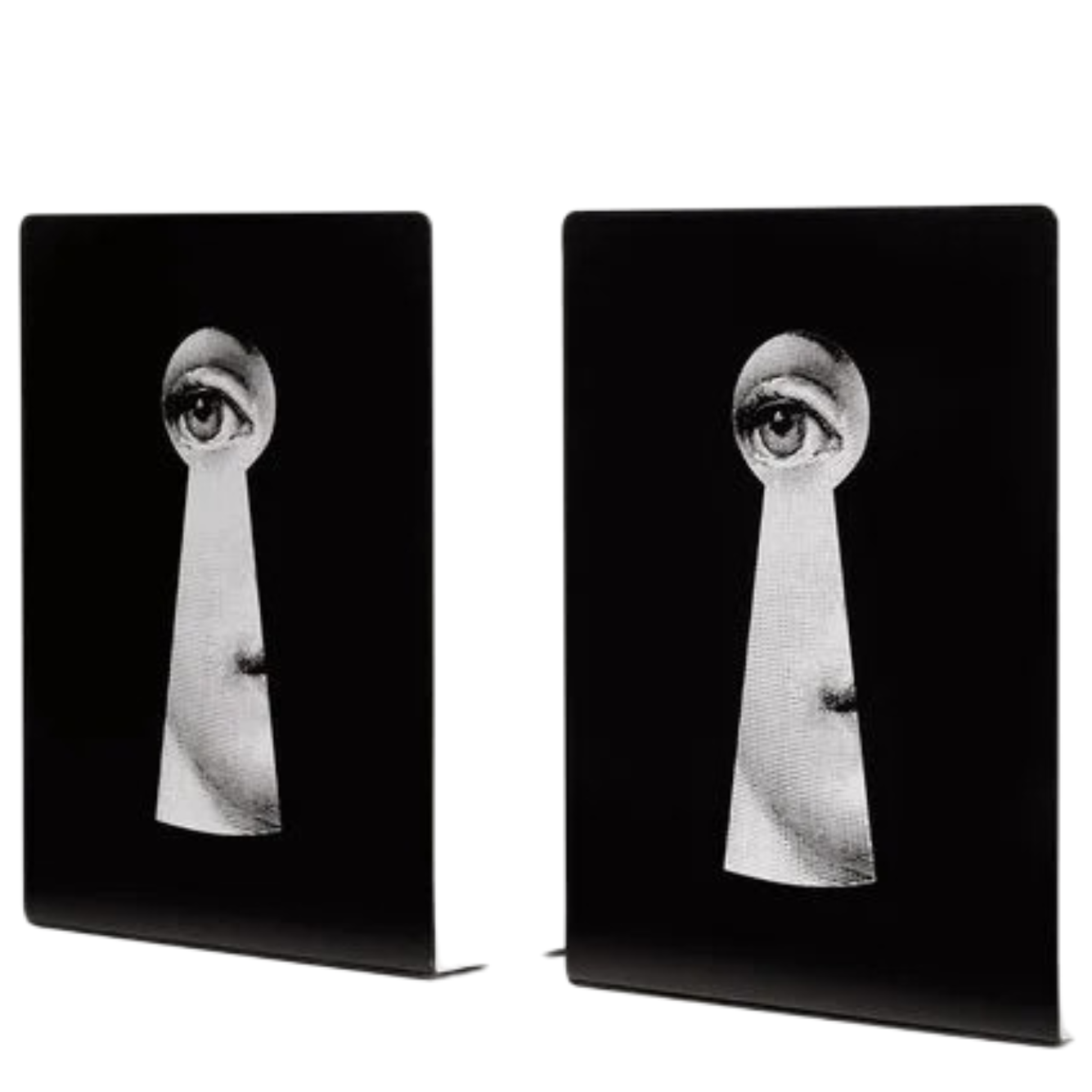 CO---FORNASETTI---C17X114.JPEG