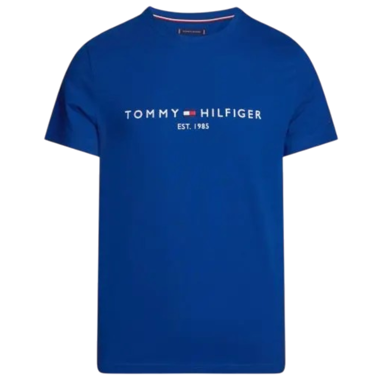 CO---TOMMY HILFIGER---MW0MW11797C5J.JPEG