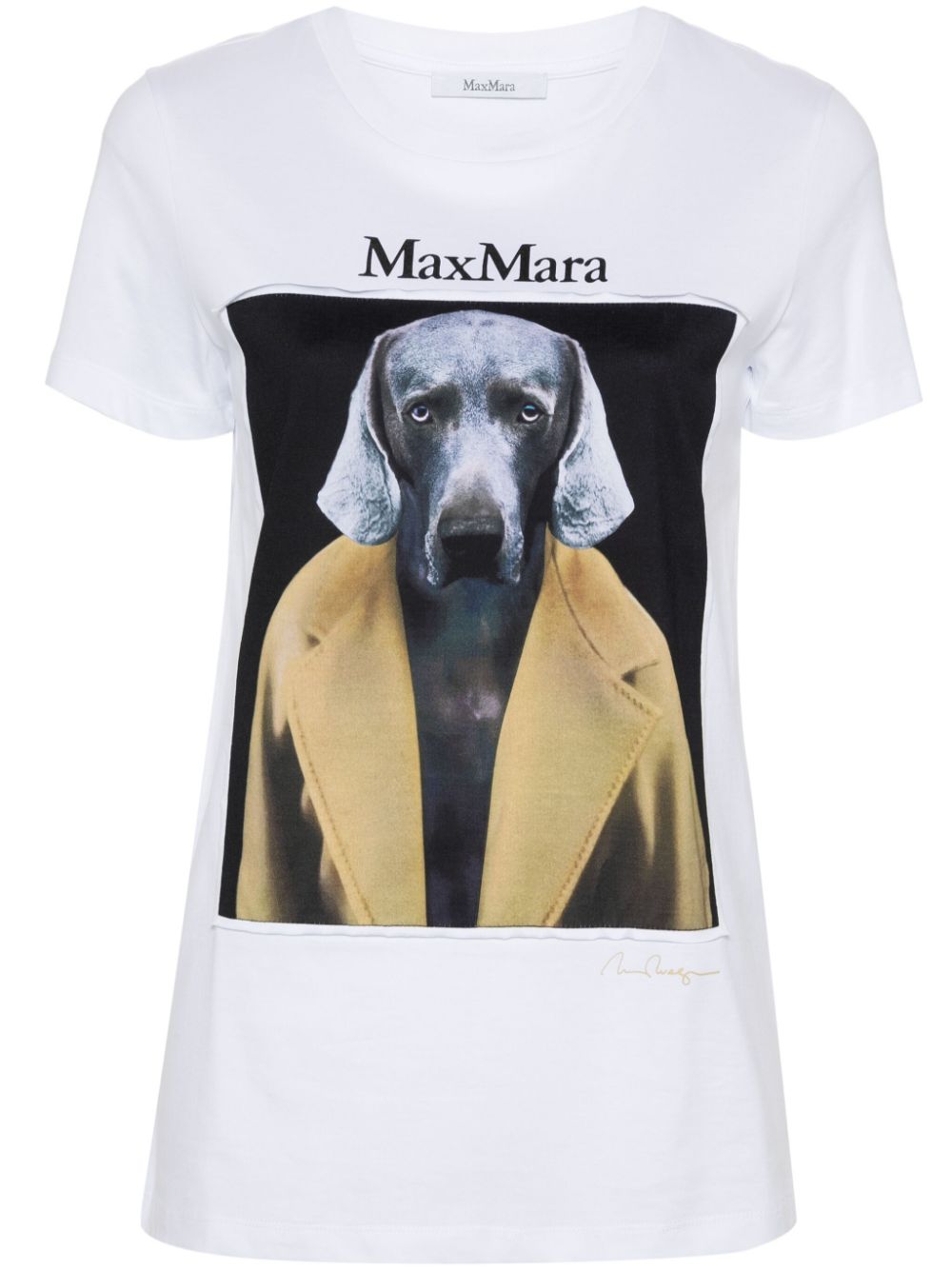 fw24---max mara pre---21946071600014.JPEG