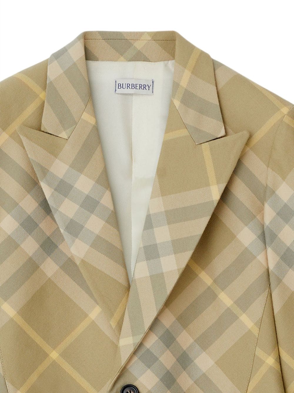 ss24---burberry pre---8082603b8686_2_p.jpg