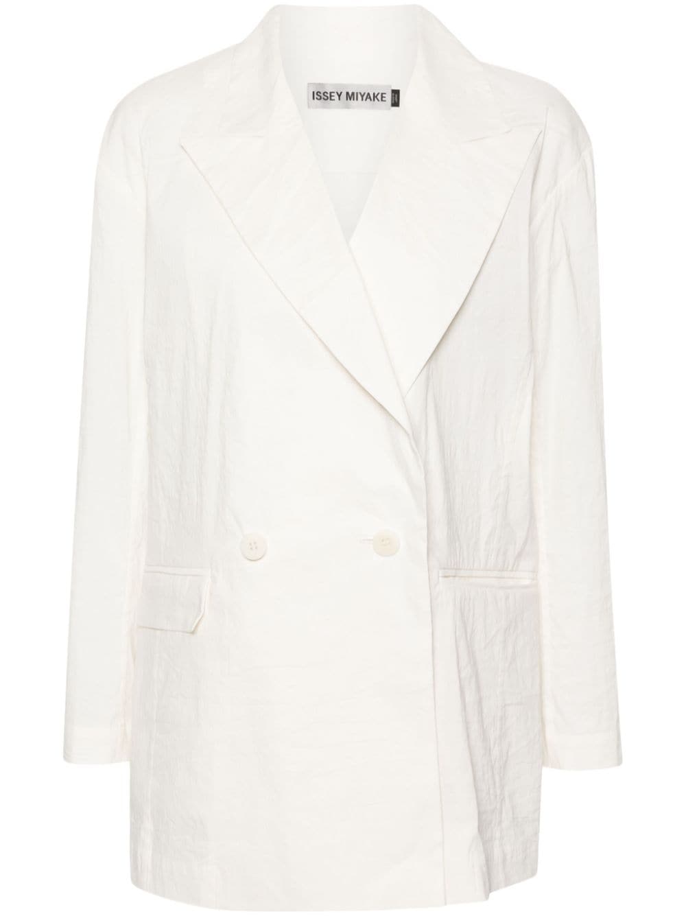 ss24---issey miyake main---im46fd56302.JPEG
