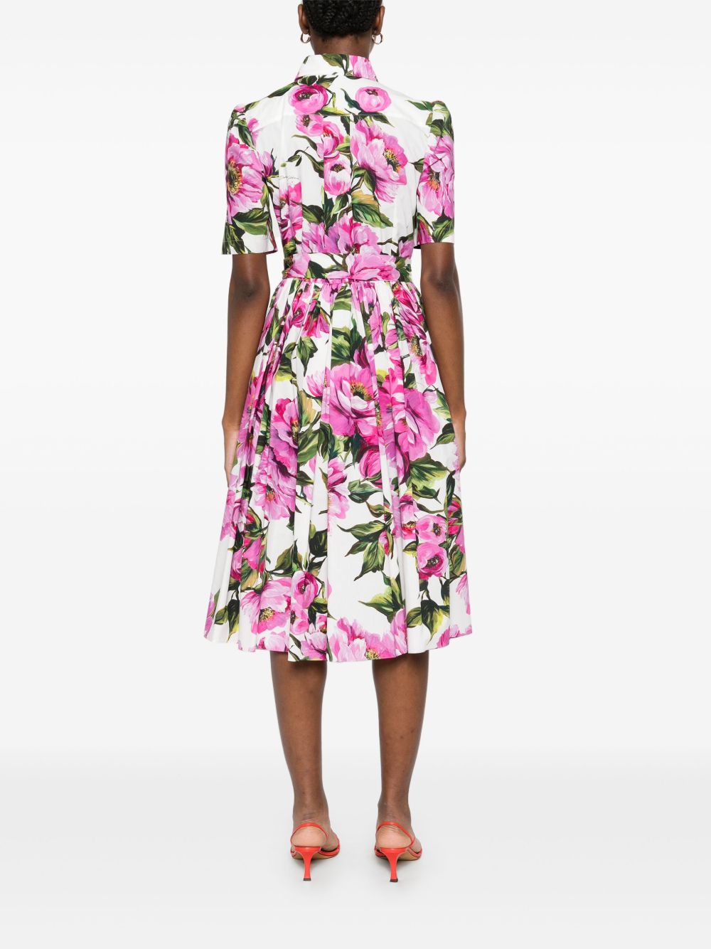 ss25---dolce () gabbana pre---f6agmths5s3ha5kr_1_p.jpg