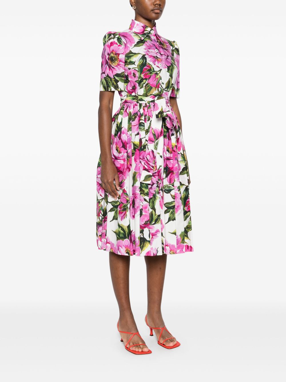 ss25---dolce () gabbana pre---f6agmths5s3ha5kr_4_p.jpg