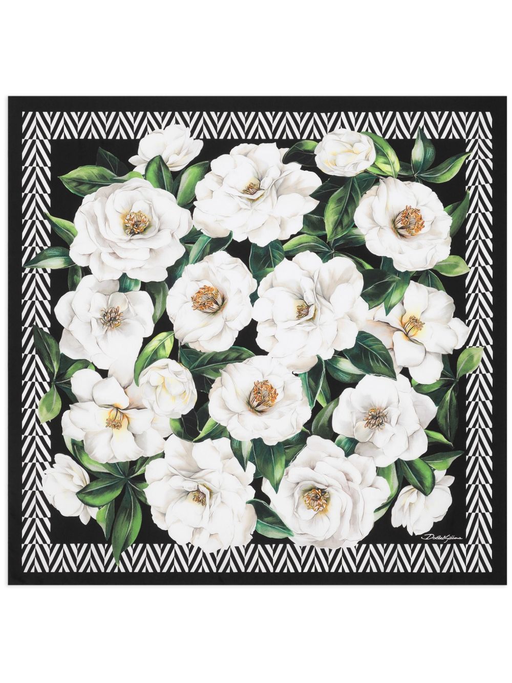 ss25---dolce () gabbana pre---fn090rgdcughd5jb.JPEG