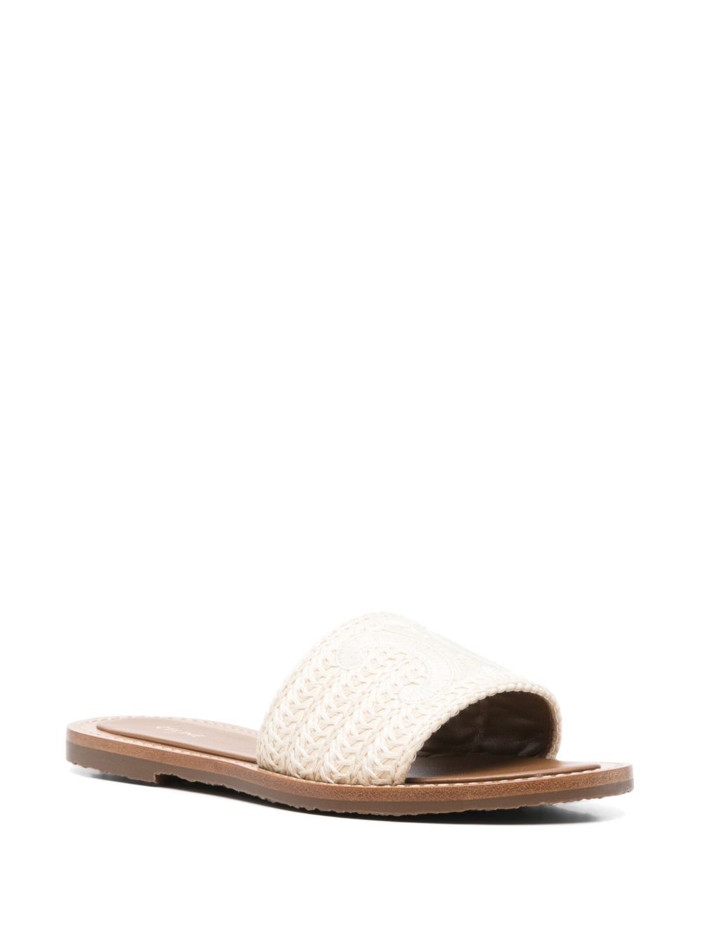 ss25---celine main---357925174c02lc_1_p.jpg