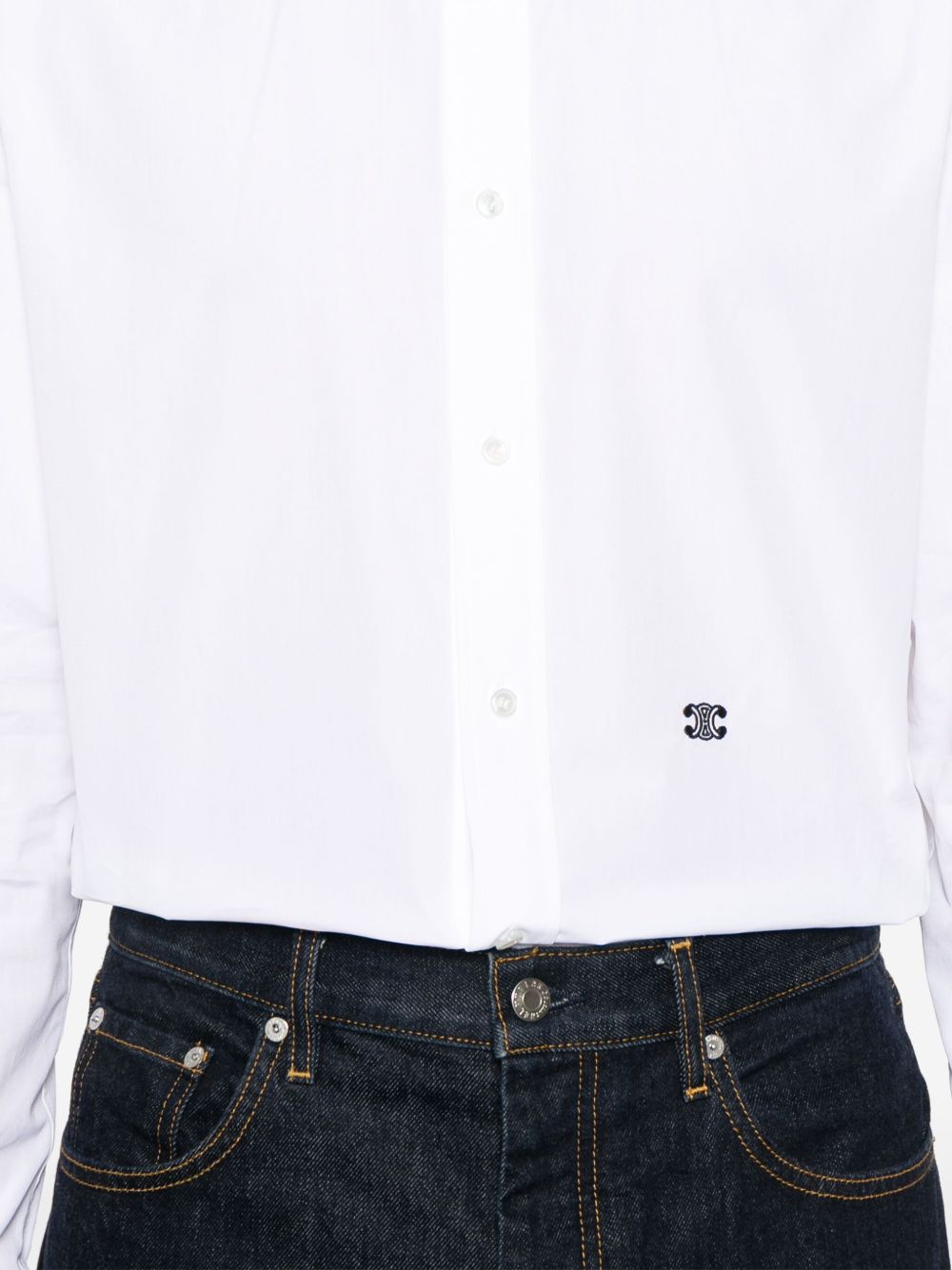 ss25---celine main---2c983100x01bc_3_p.jpg