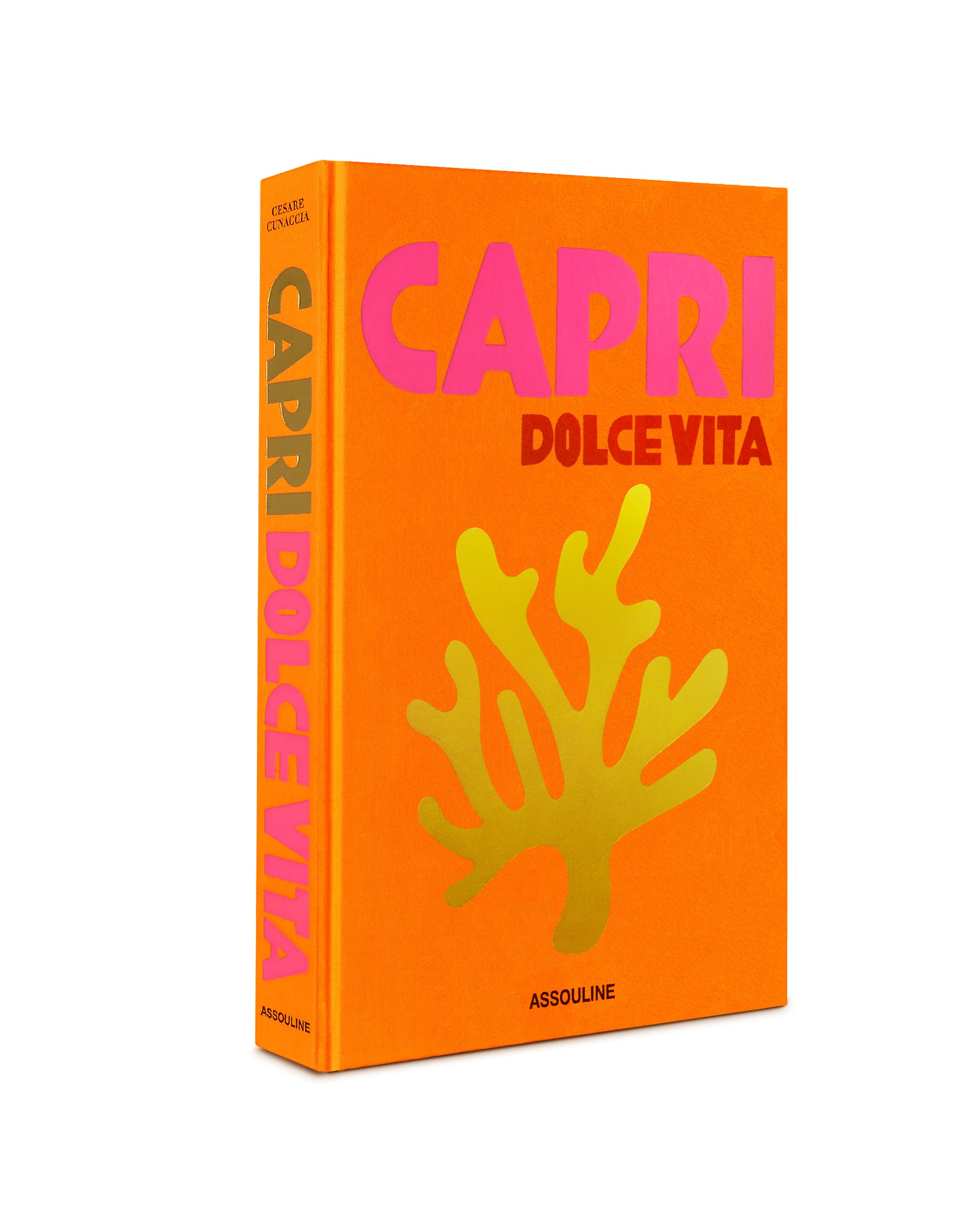 0000---assouline---9781614287834_5_P.jpg