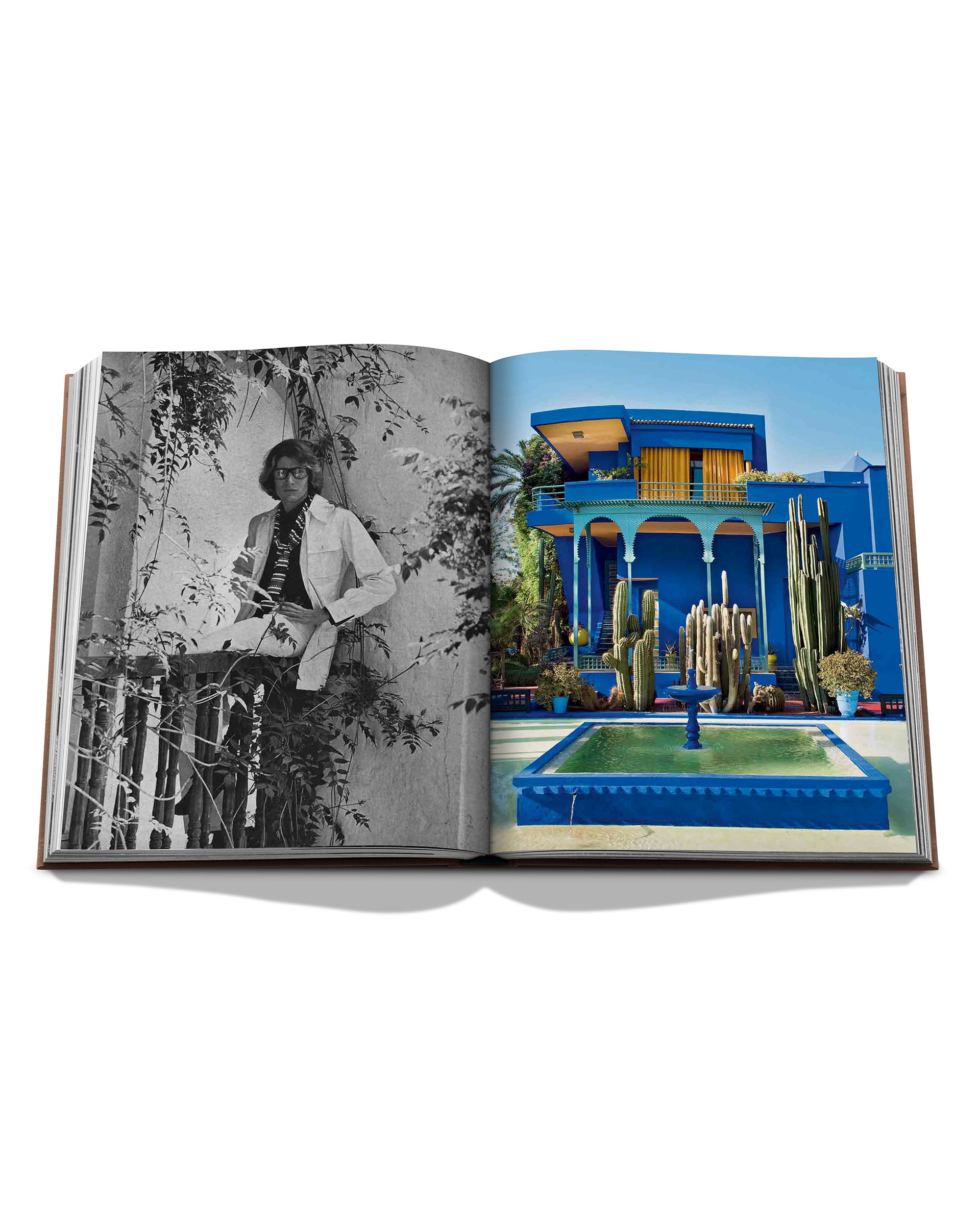 0000---assouline---9781614289616_4_P_ab1ed701-62ac-4245-9215-704270bd40e4.JPEG