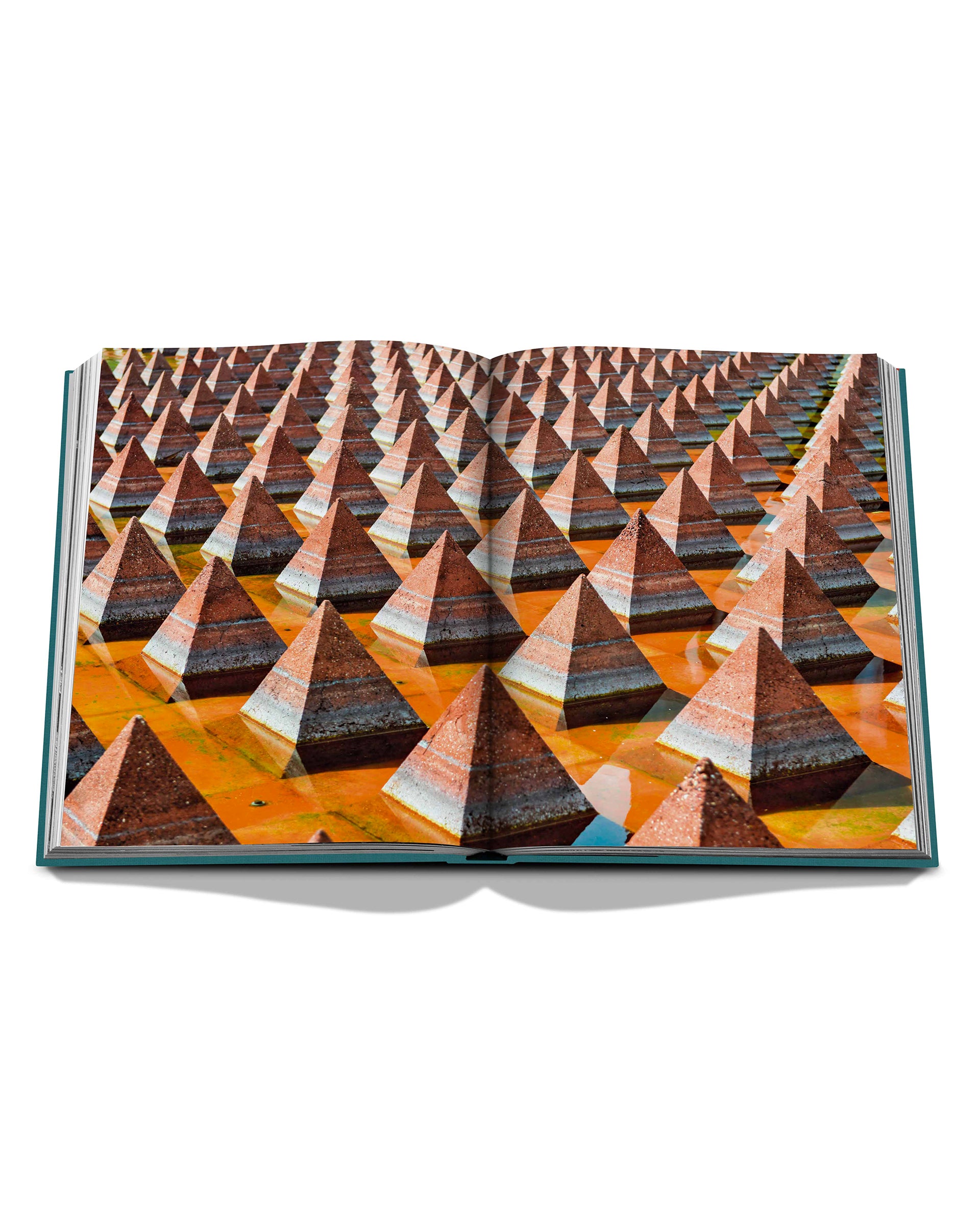 0000---assouline---9781649802514_4_P_5230b50b-394b-417b-af14-506d67525499.jpg