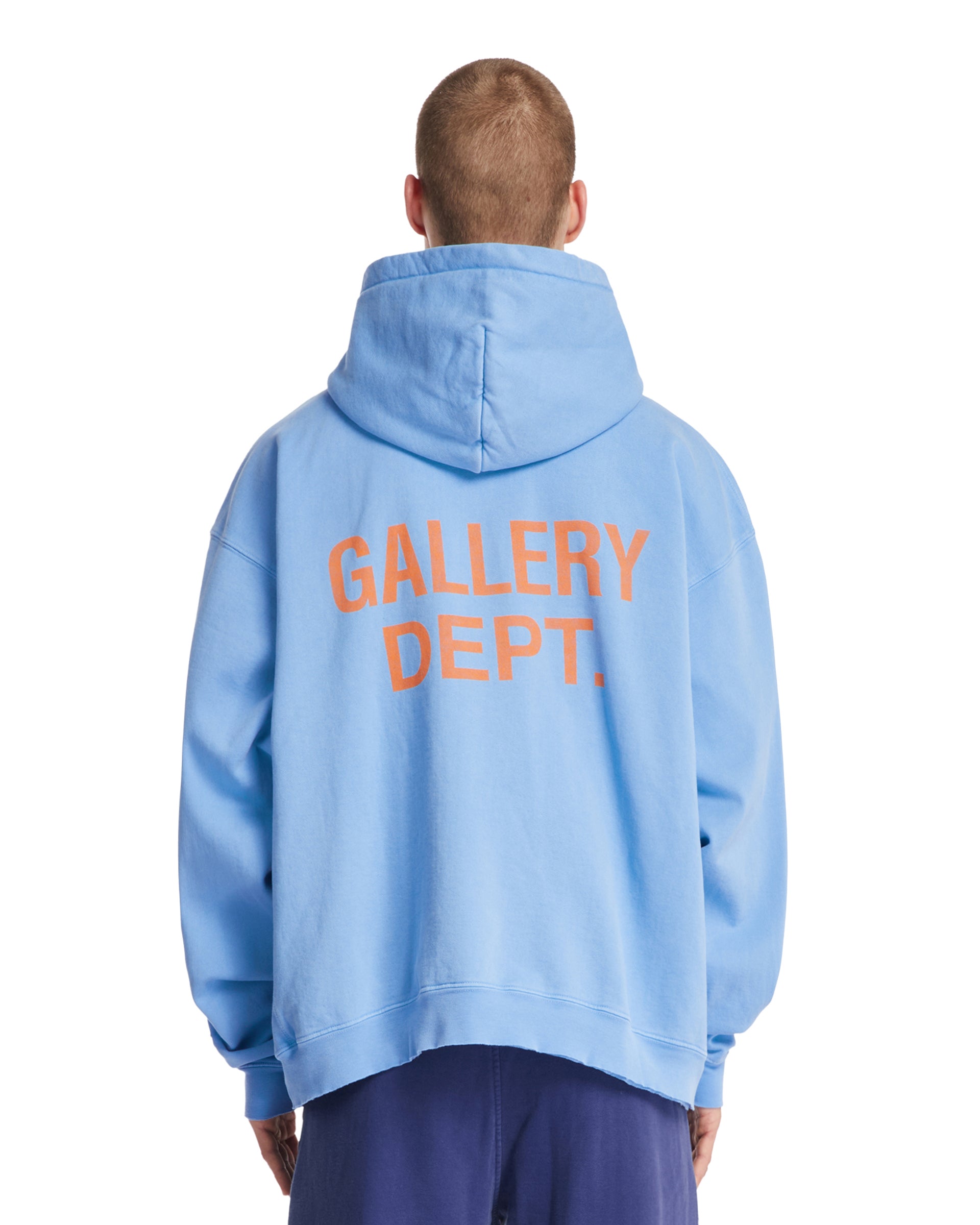SS25---gallery_20department---GDLH50025BABYBLUE_4_P.JPEG
