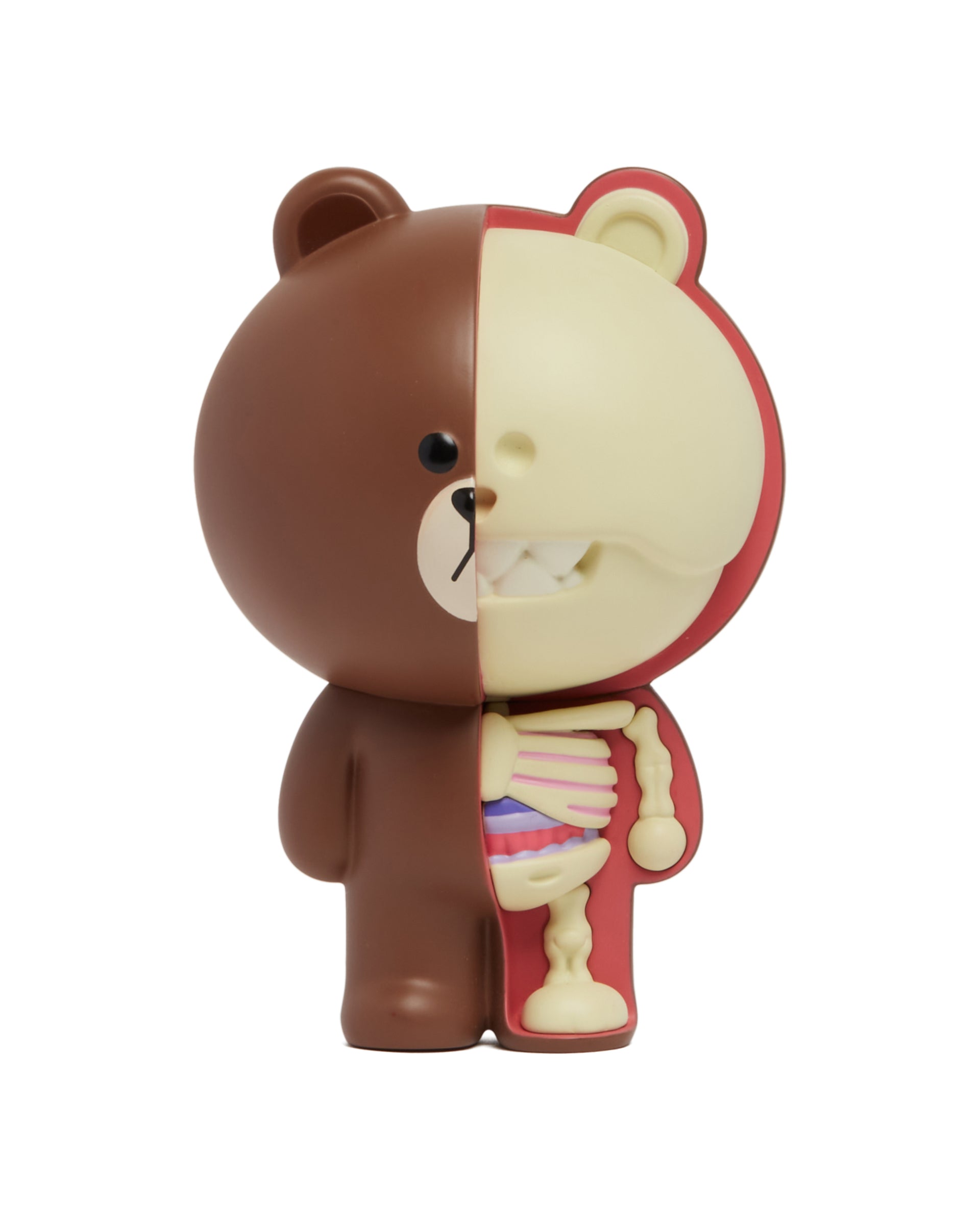 XXray Plus 브라운 Art 토이