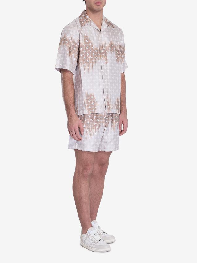 p25_amiri_p25-amiri-amshca1074camel1p.jpg