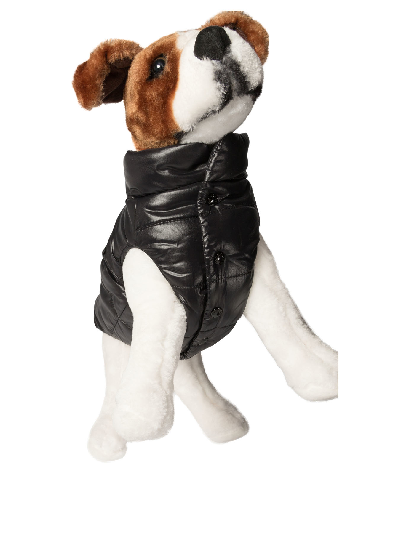 20240830193332582_W24---moncler poldo---3G00002-68950999_1_P.JPG
