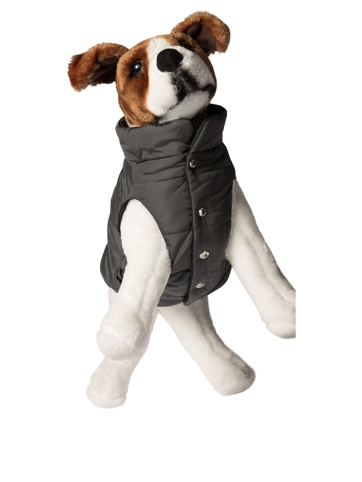 20240830193335145_W24---moncler poldo---3G00008-597T9P70_1_P.JPG