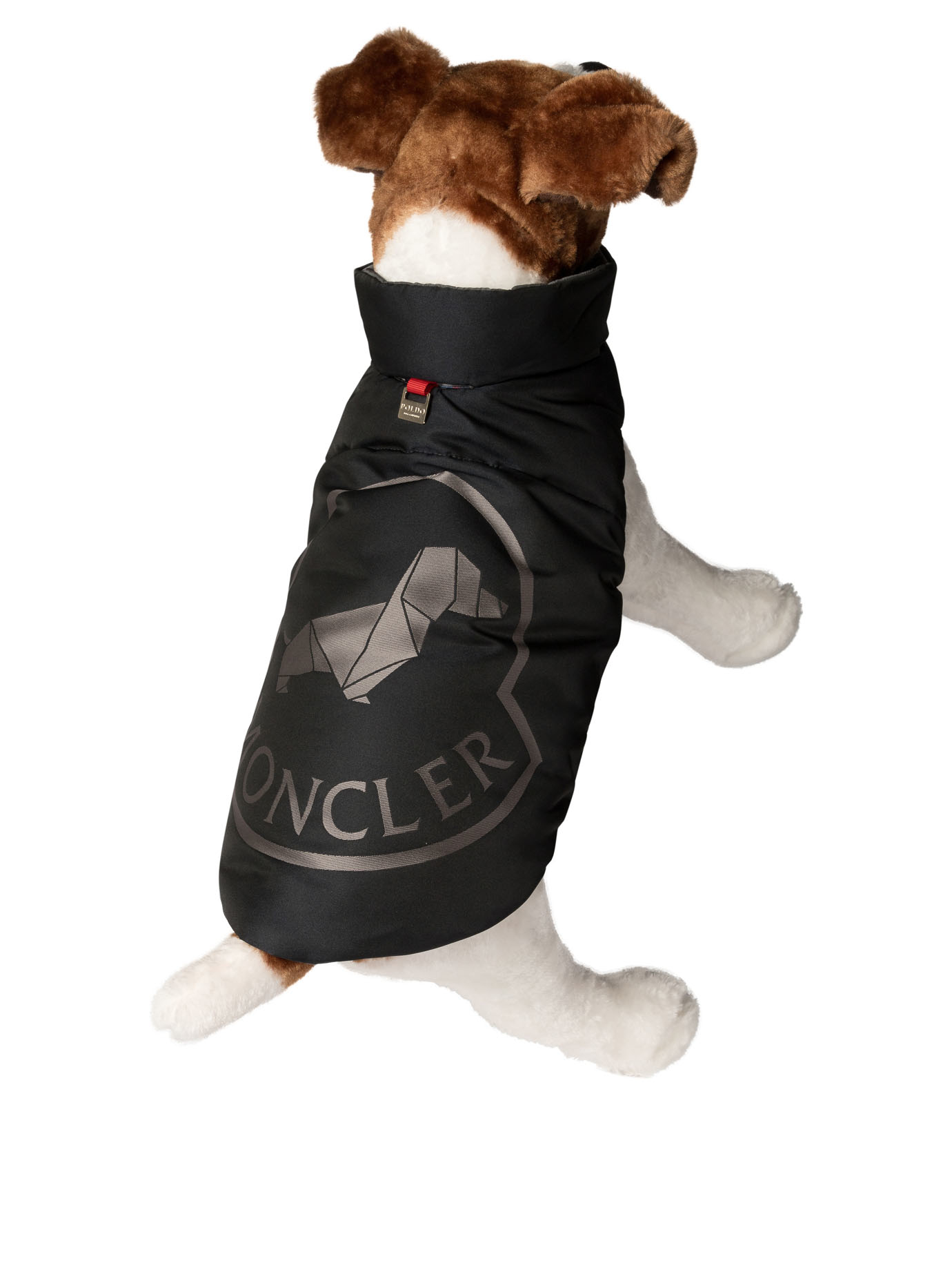 20240830193335207_W24---moncler poldo---3G00008-597T9P70_2_P.JPG