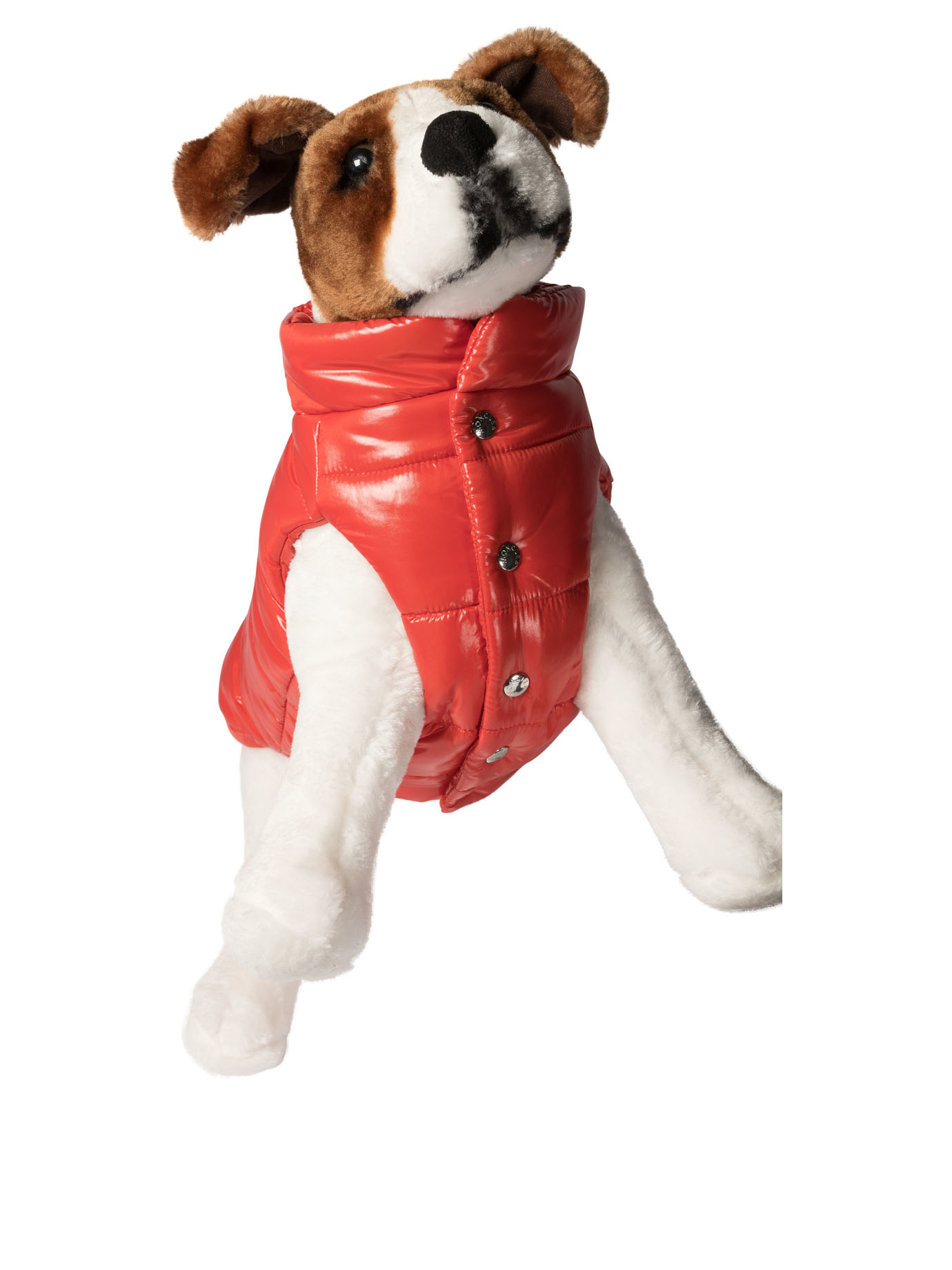 20240830193341769_W24---moncler poldo---3G00020-68950426_1_P.JPG