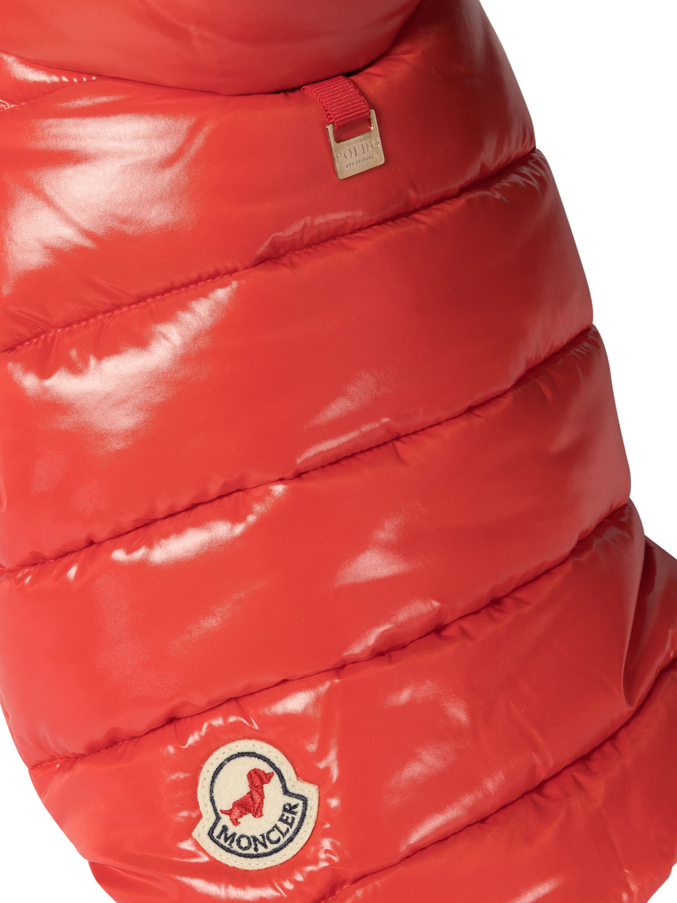 20240830193341957_W24---moncler poldo---3G00020-68950426_3_P.JPG
