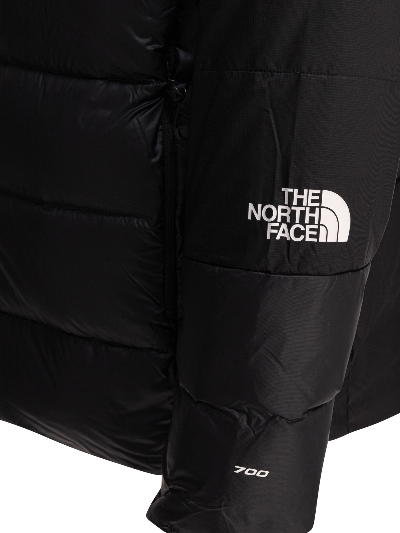 20250224201727275_S25---the north face---NF0A8BJJJK31_3_P.JPG