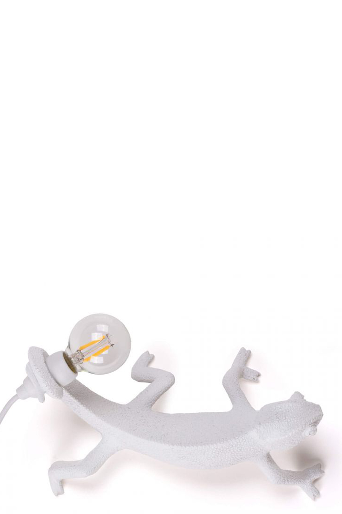 Chameleon lamp