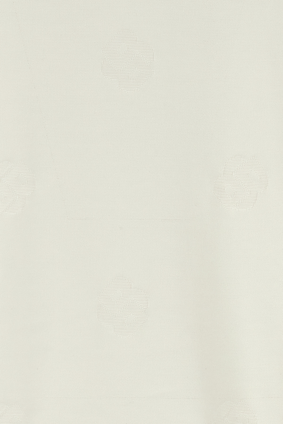 50532753100_09_P_2025-02-18T09-05-05.002Z.jpg