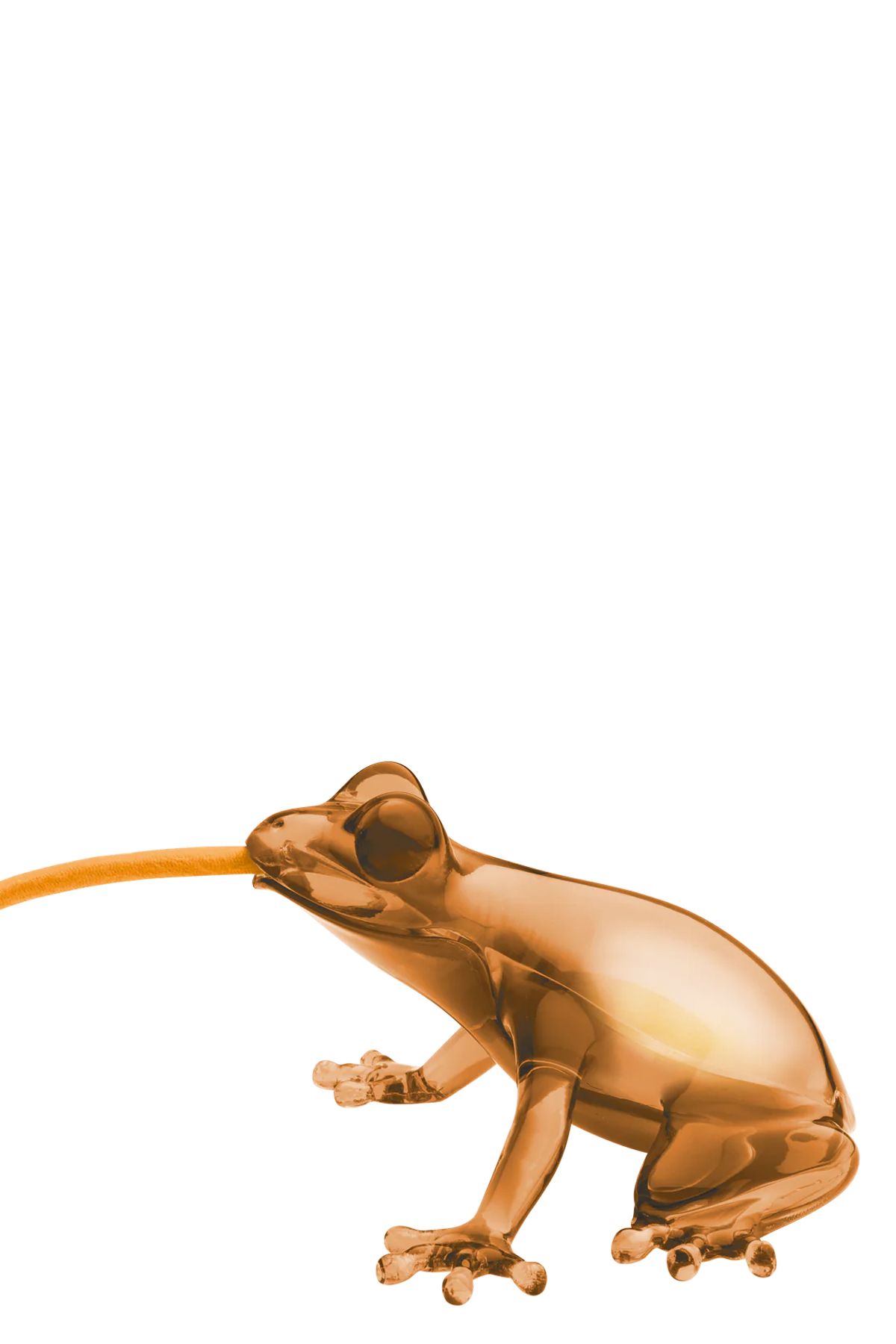 Hungry Frog lamp
