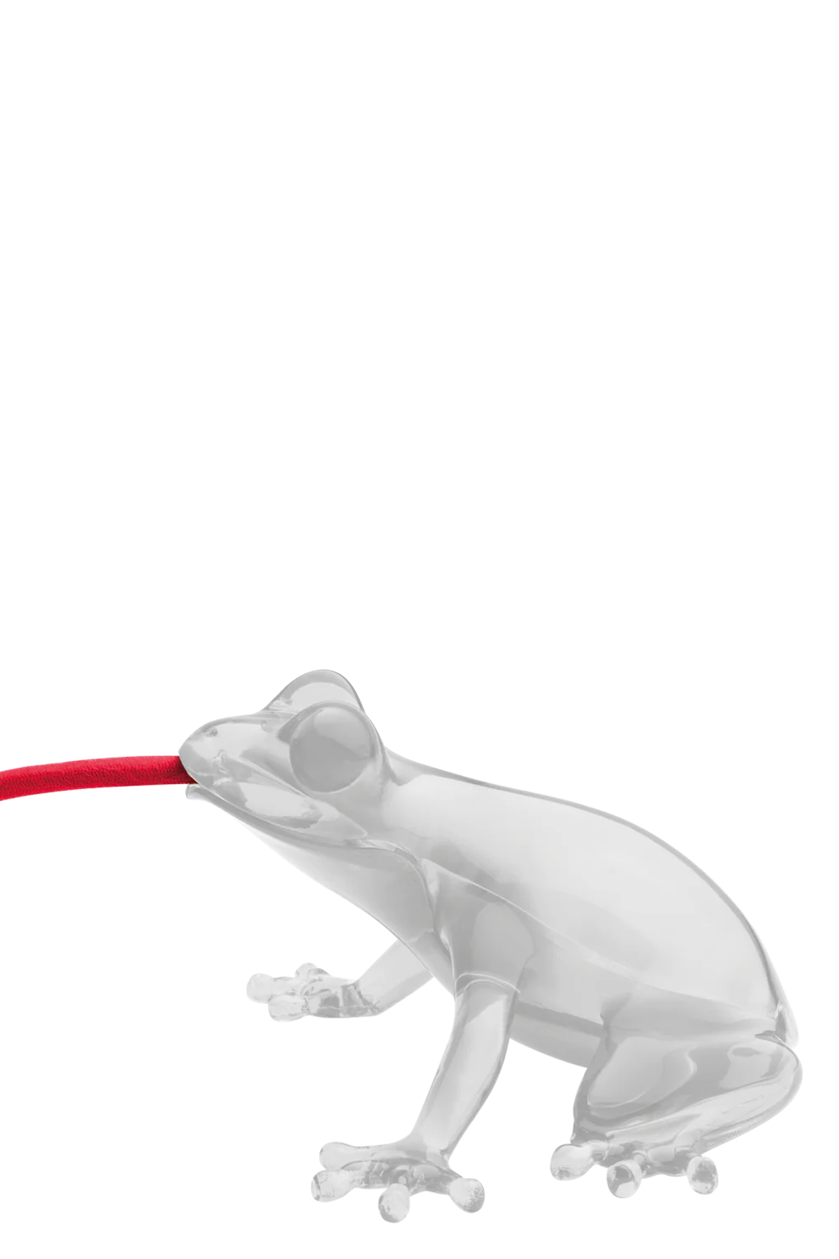 Hungry Frog lamp
