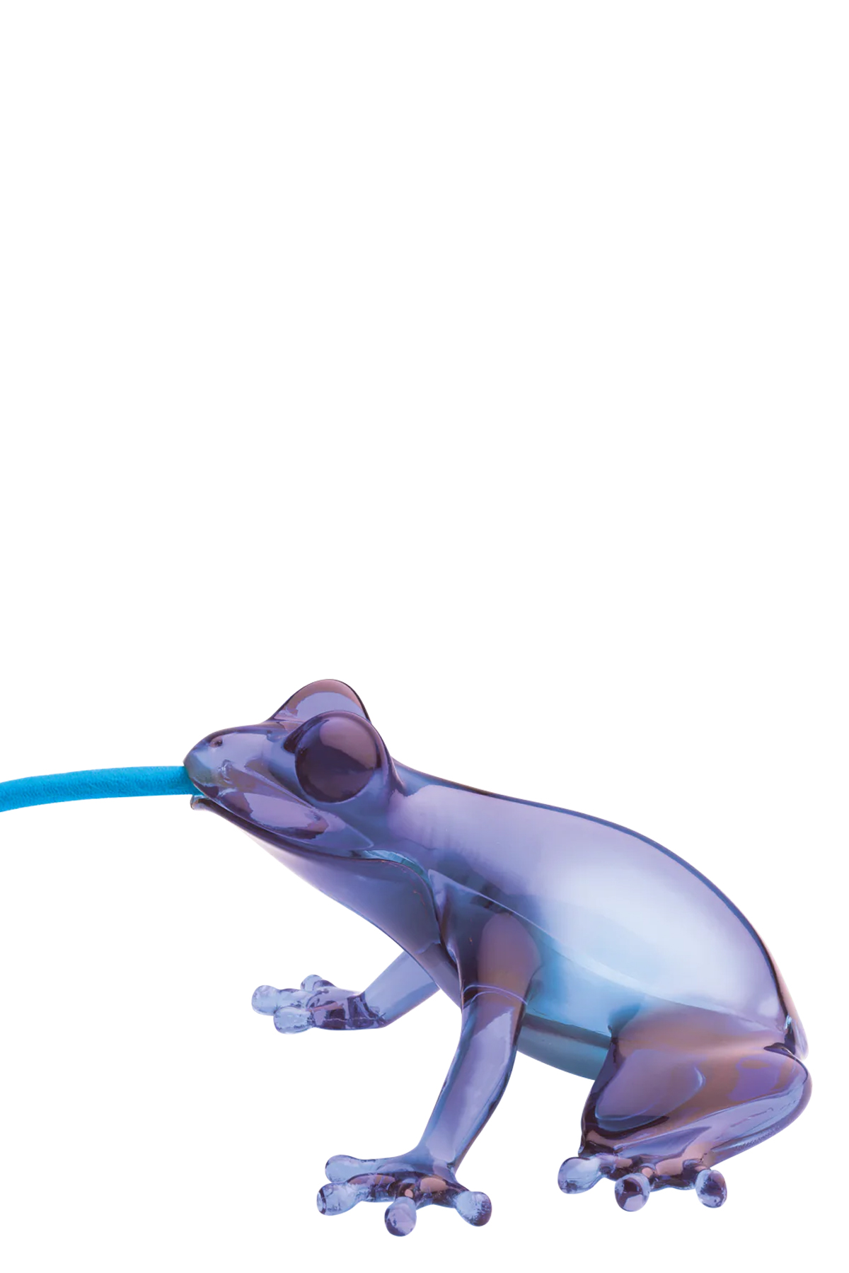 Hungry Frog lamp