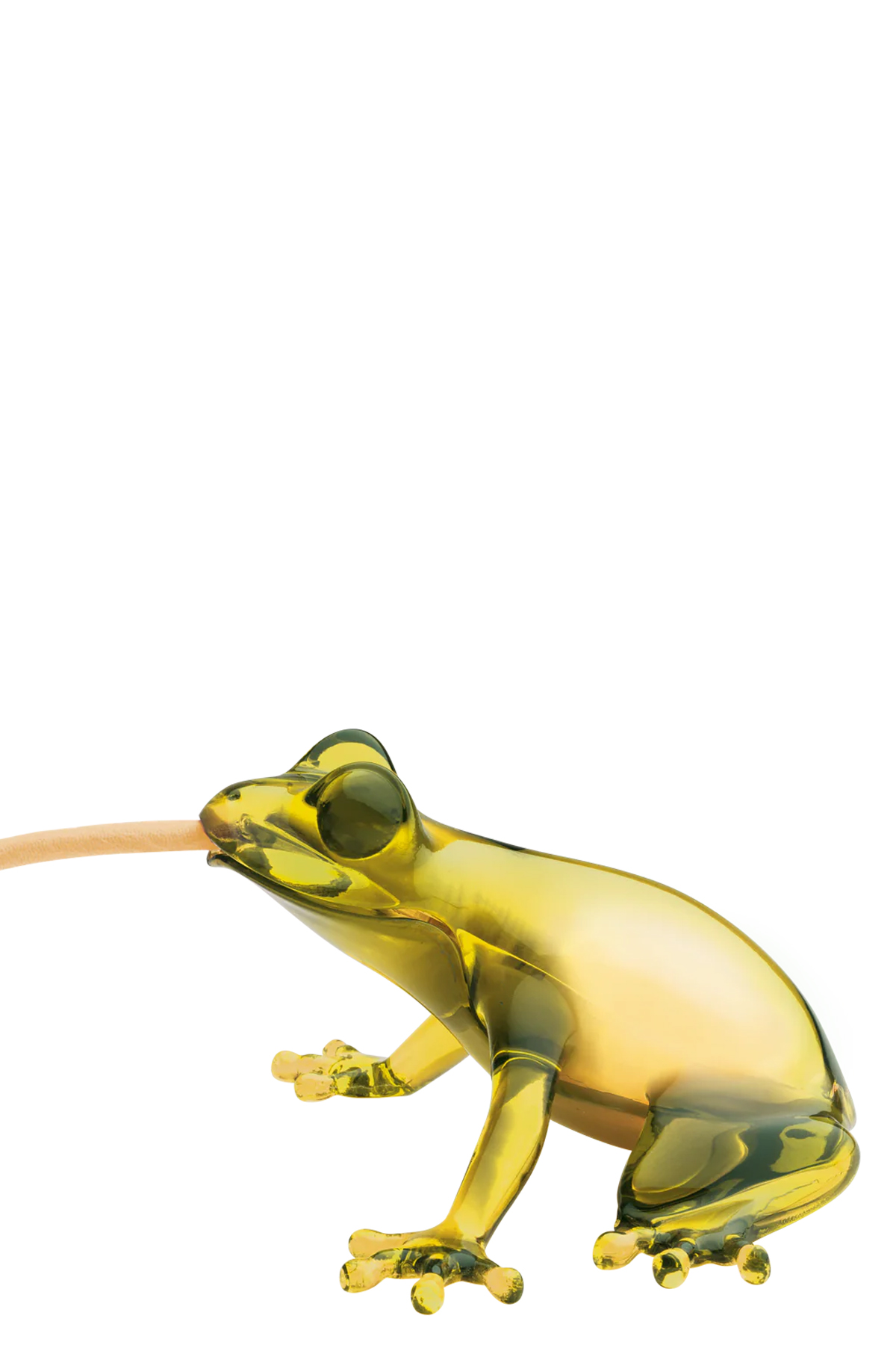 Hungry Frog lamp