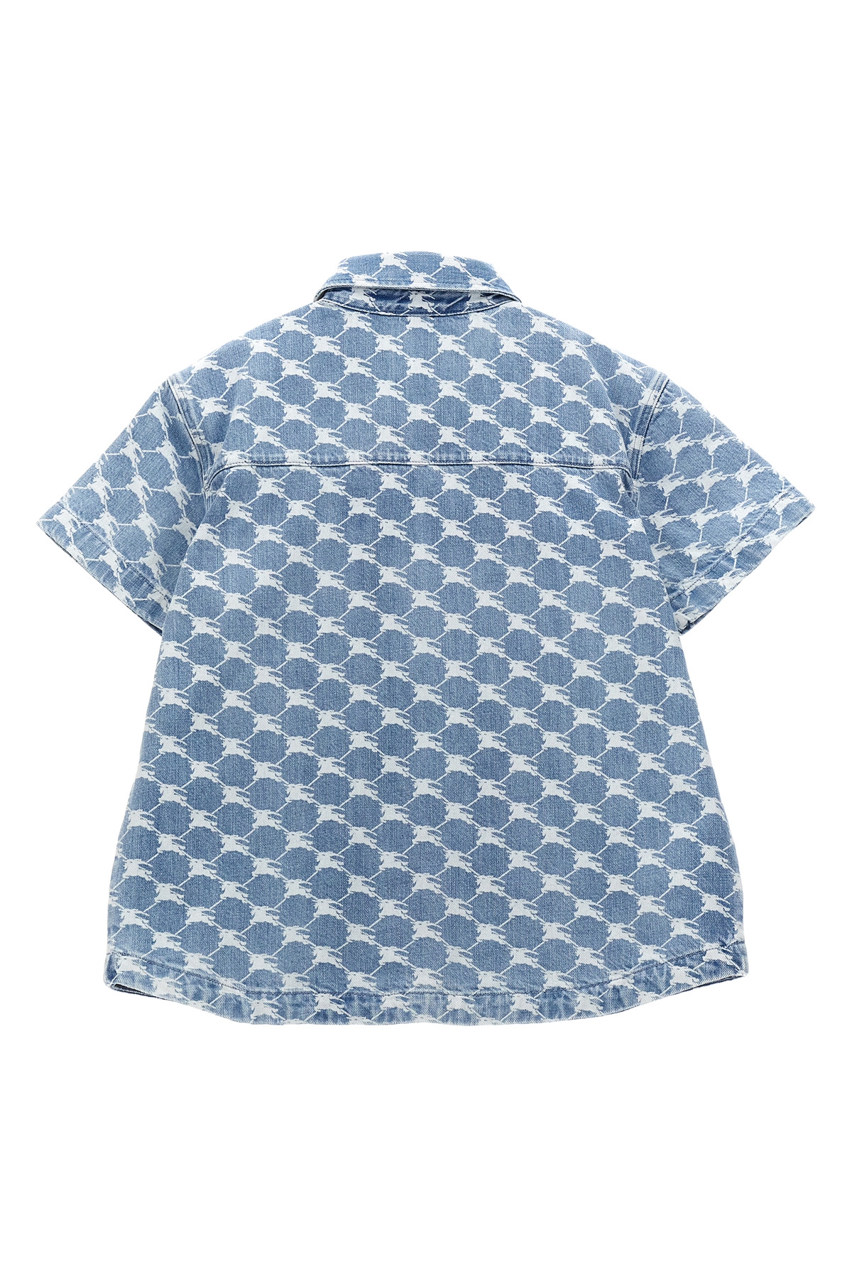 8073013PALEBLUE_03_P_2024-01-09T08-03-17.416Z.jpg