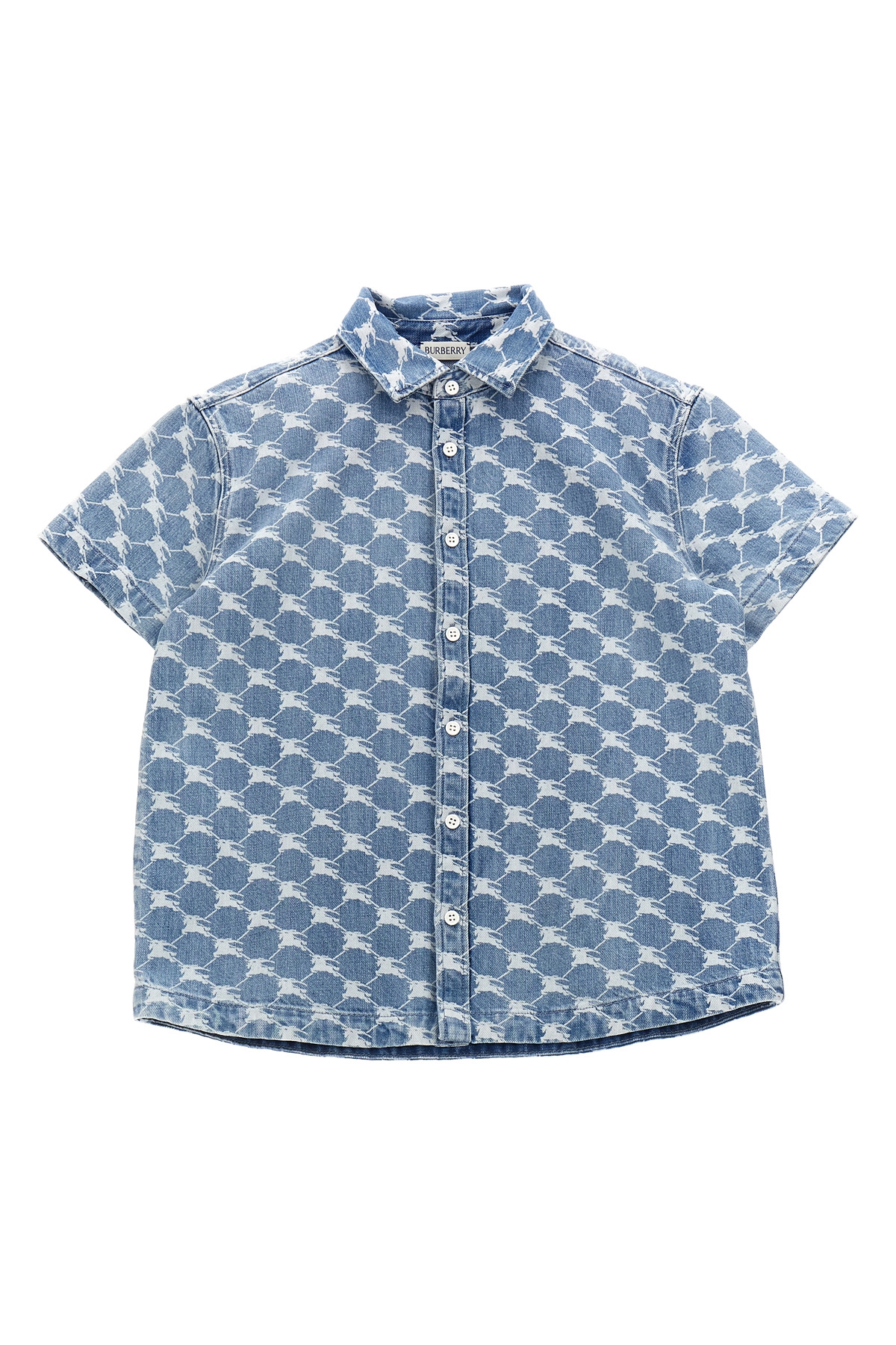 8073013PALEBLUE_2024-01-09T08-03-16.885Z.jpg