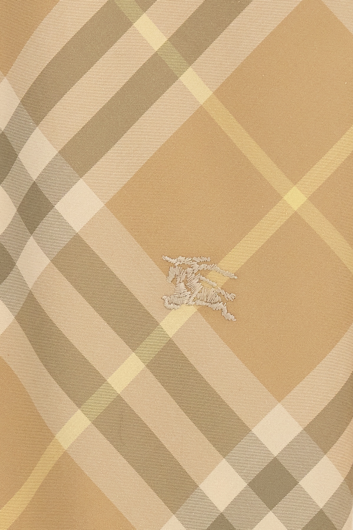 8082194FLAX_10_P_2024-01-17T08-32-27.205Z.jpg