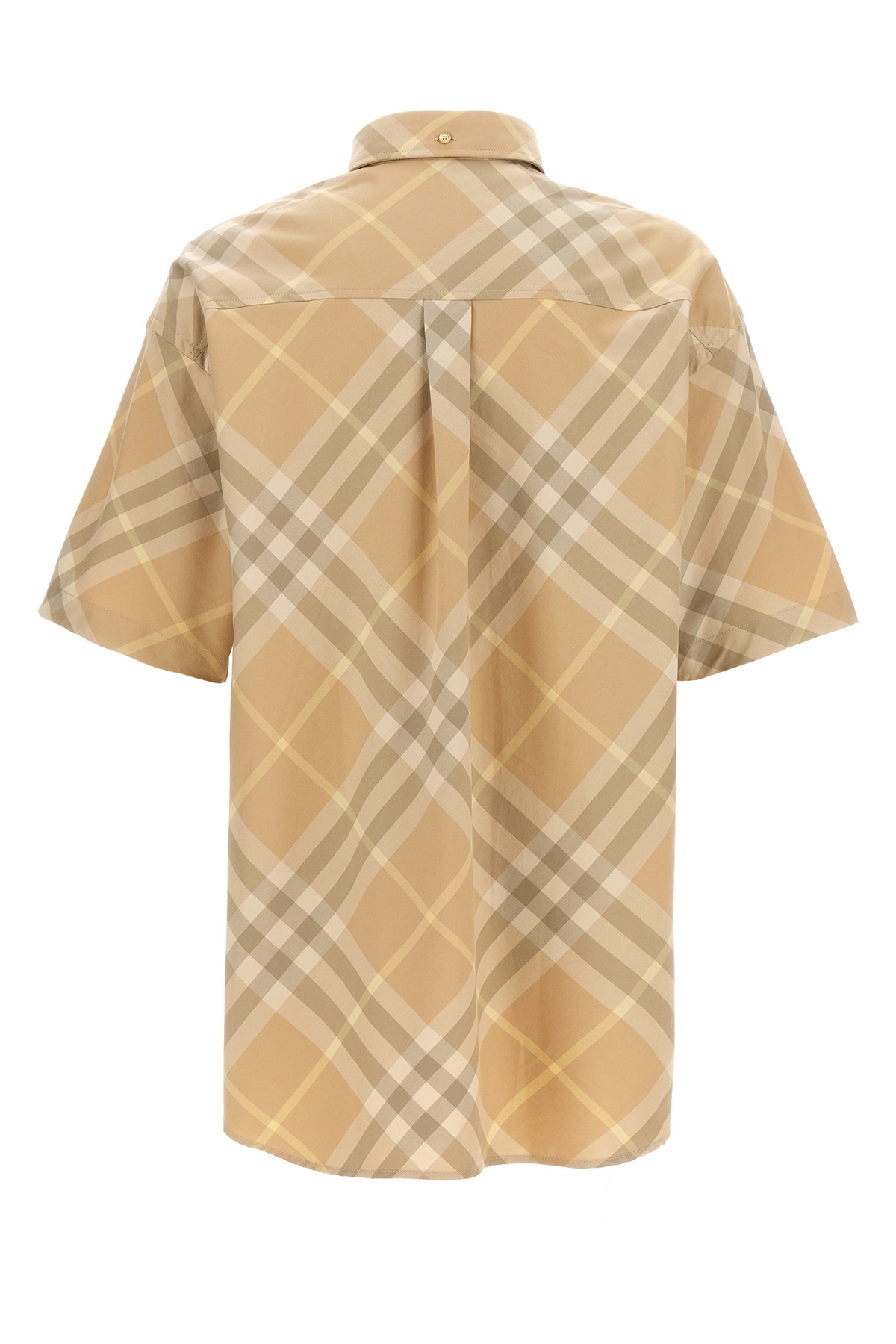 8082478FLAX_03_P_2024-06-20T07-12-03.002Z.jpg
