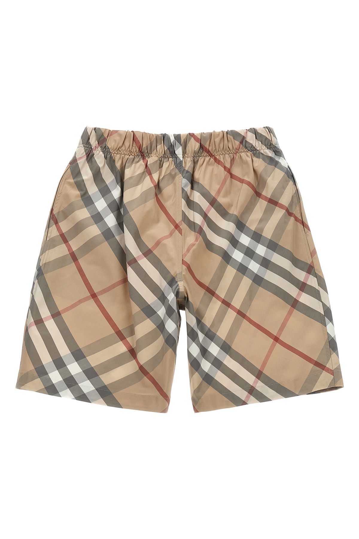 8089215PALESTONEIPCHECK_03_P_2024-12-12T08-03-50.775Z.jpg