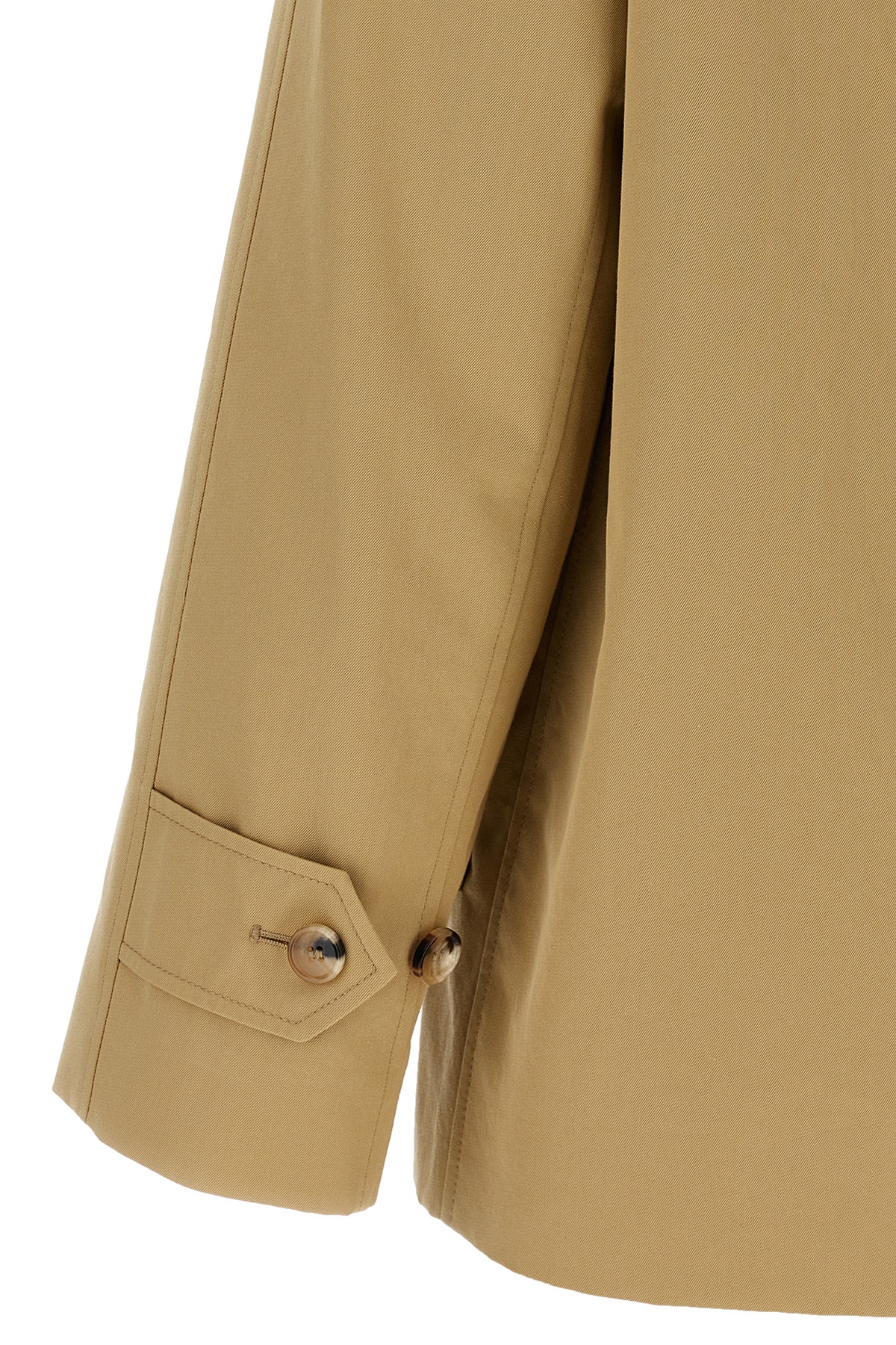 8093131FLAX_09_P_2024-09-06T07-04-02.216Z.jpg