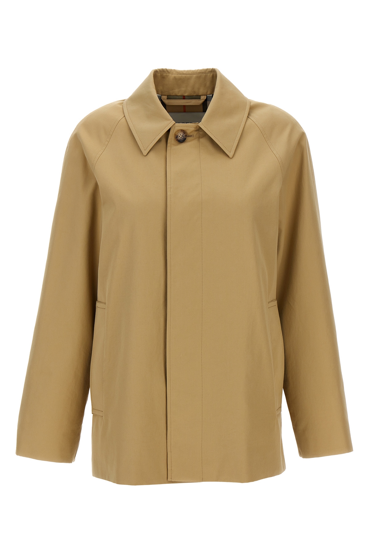 8093131FLAX_2024-09-06T07-04-01.694Z.jpg