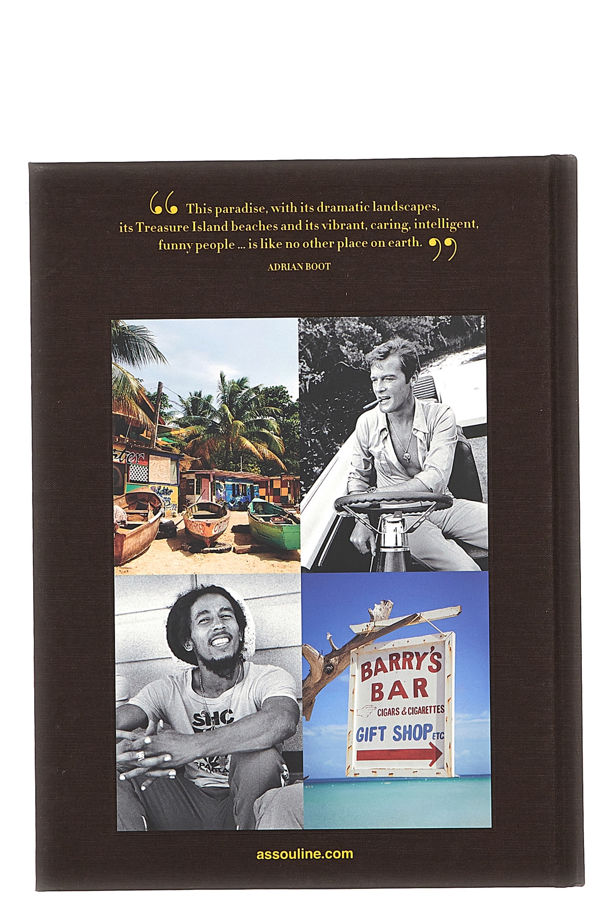 Jamaica Vibes book