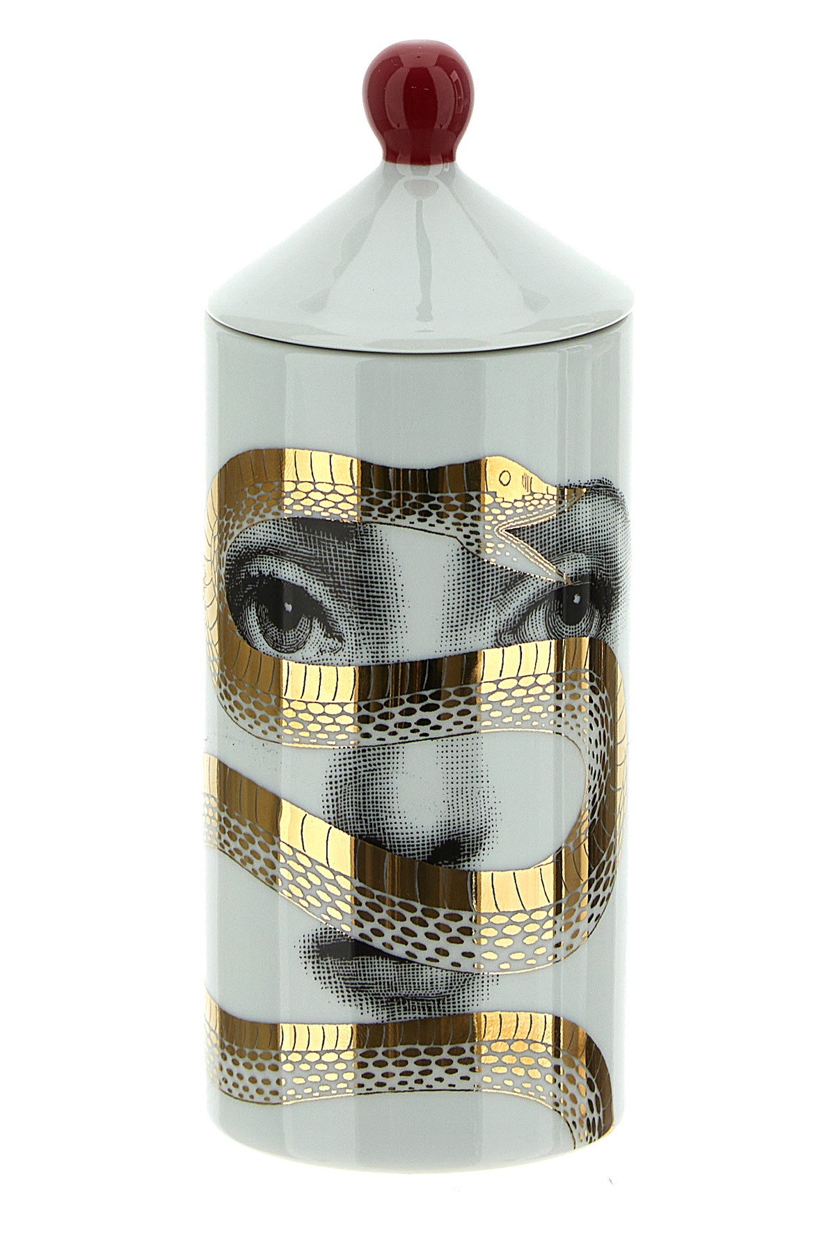 Spray for Talvolta 